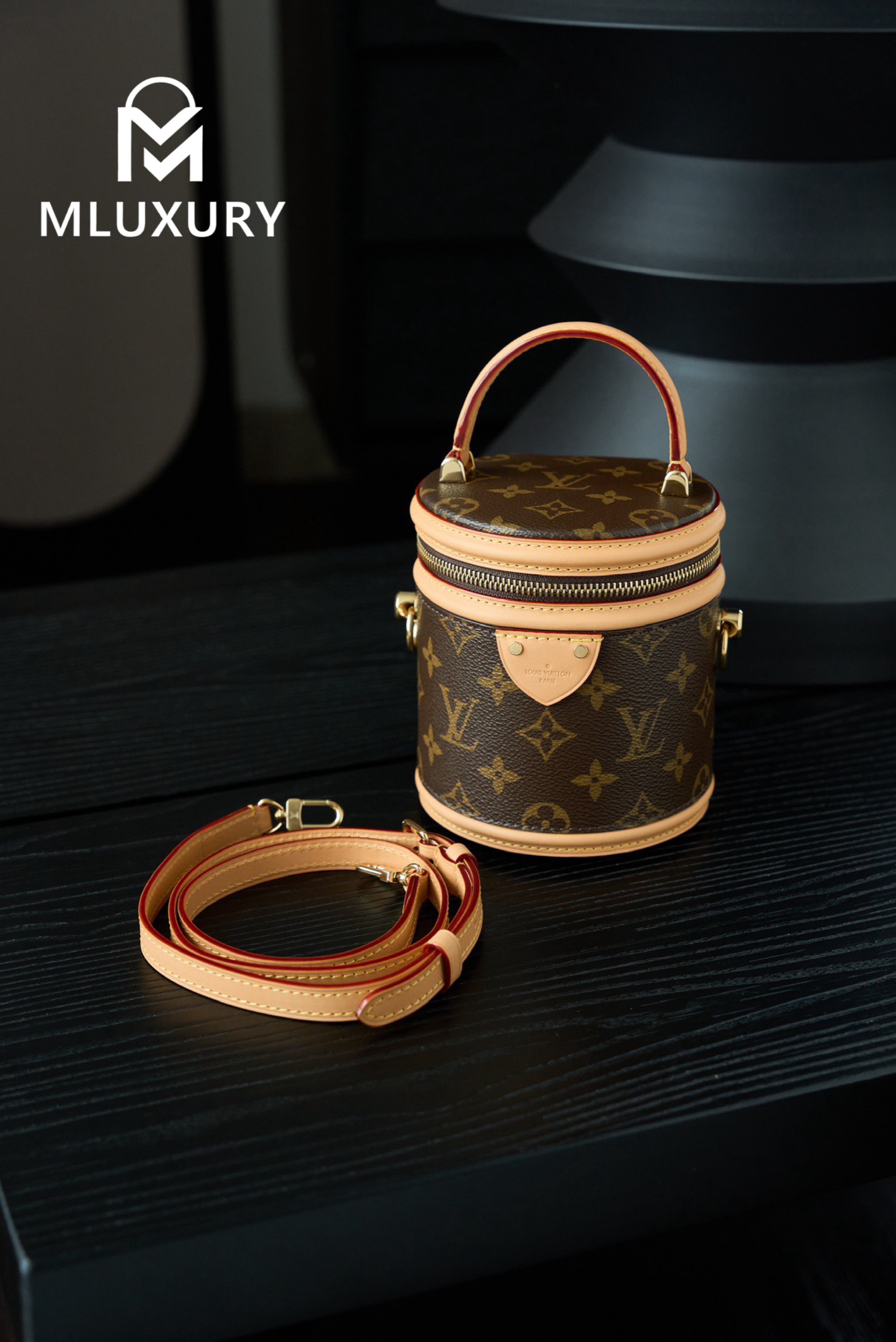 LOUIS VUITTON NANO CANNES Handbag