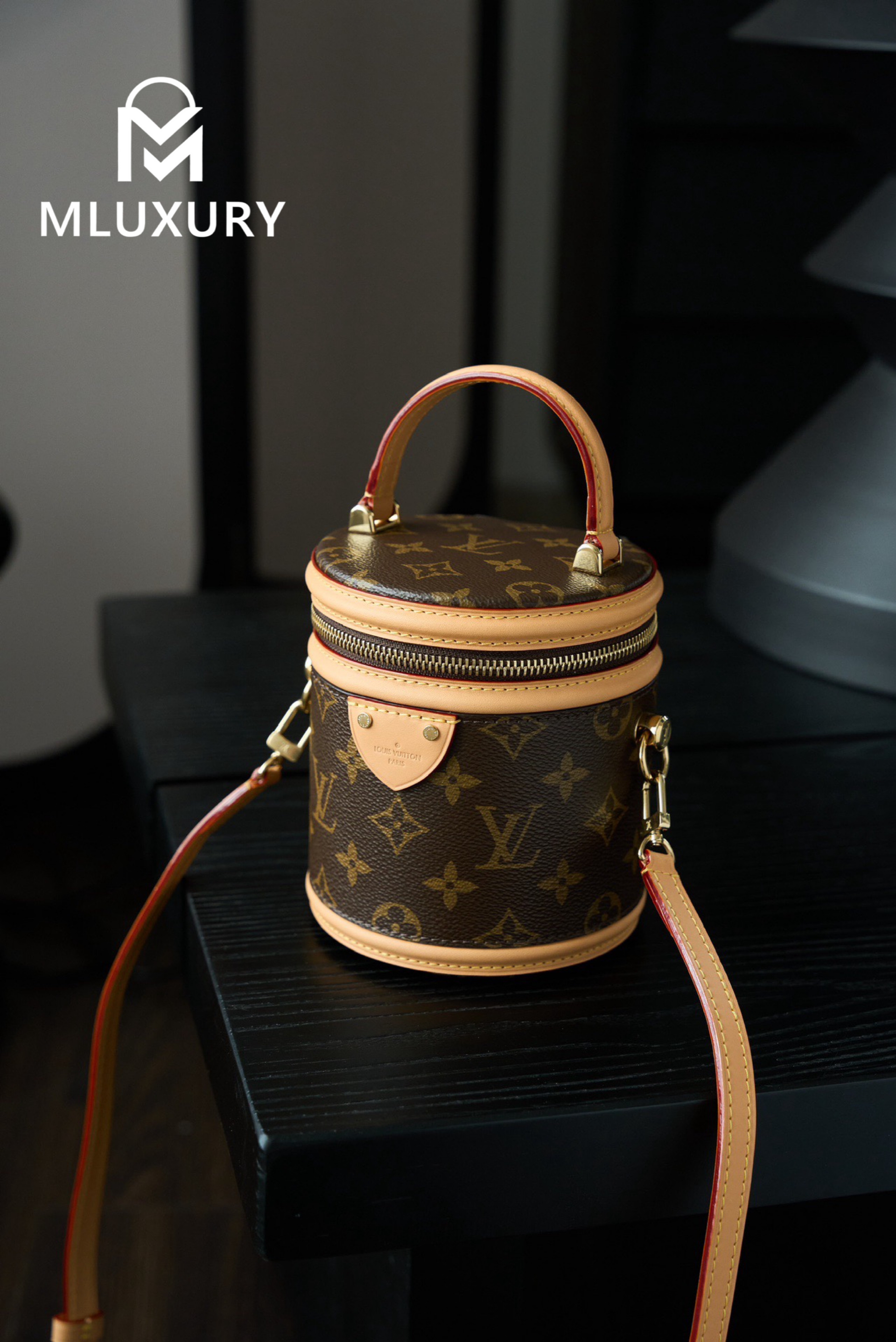 LOUIS VUITTON NANO CANNES Handbag