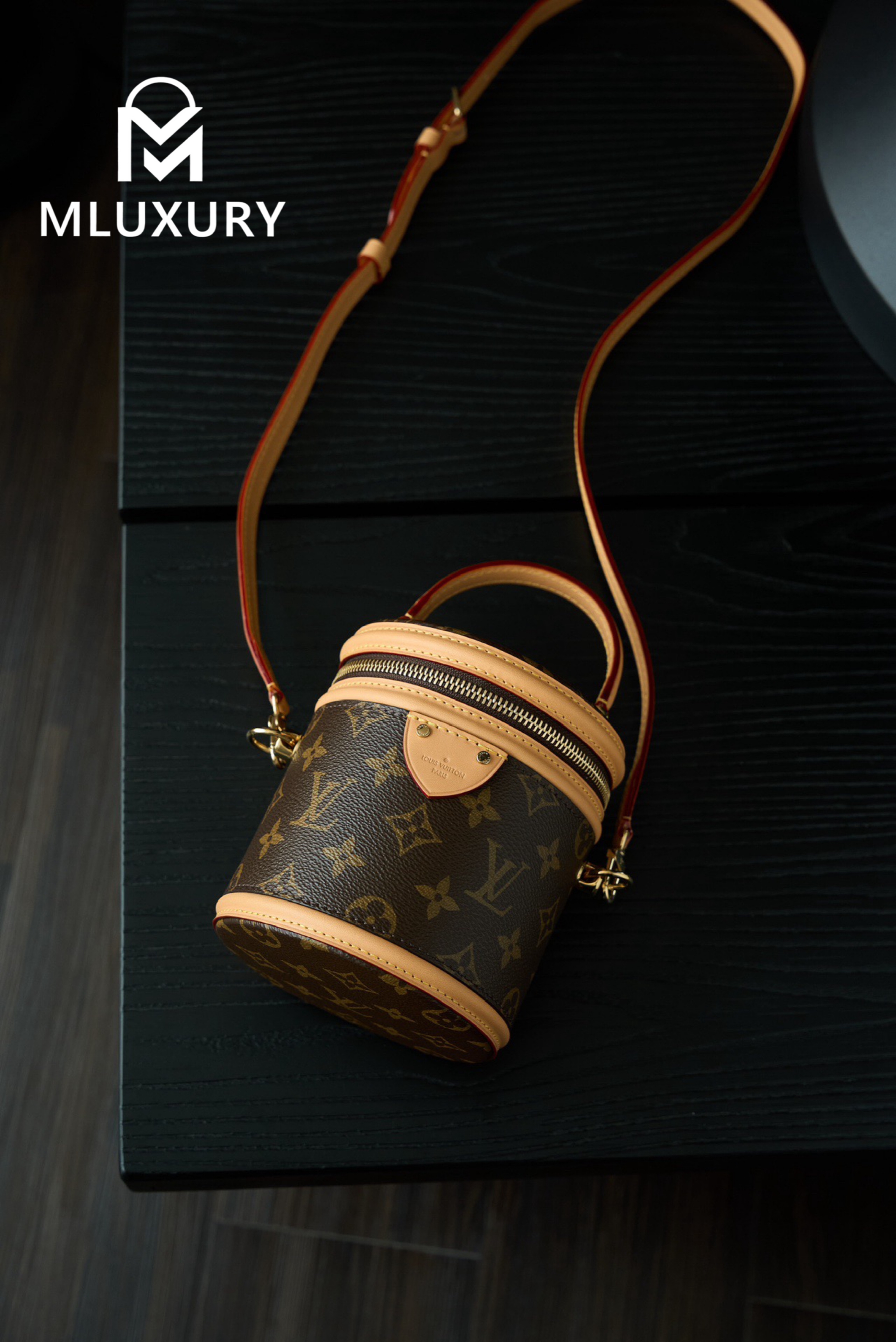 LOUIS VUITTON NANO CANNES Handbag