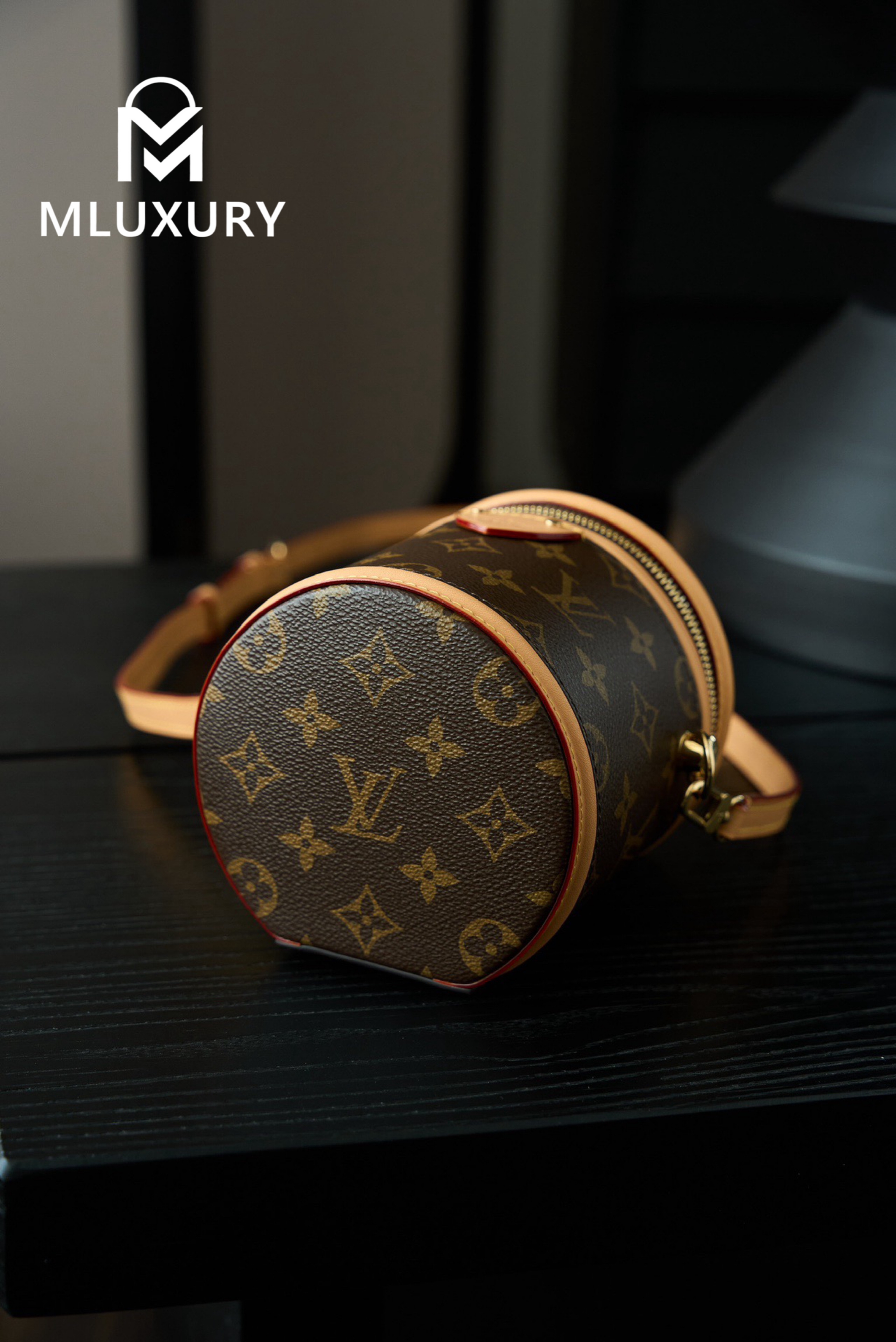 LOUIS VUITTON NANO CANNES Handbag