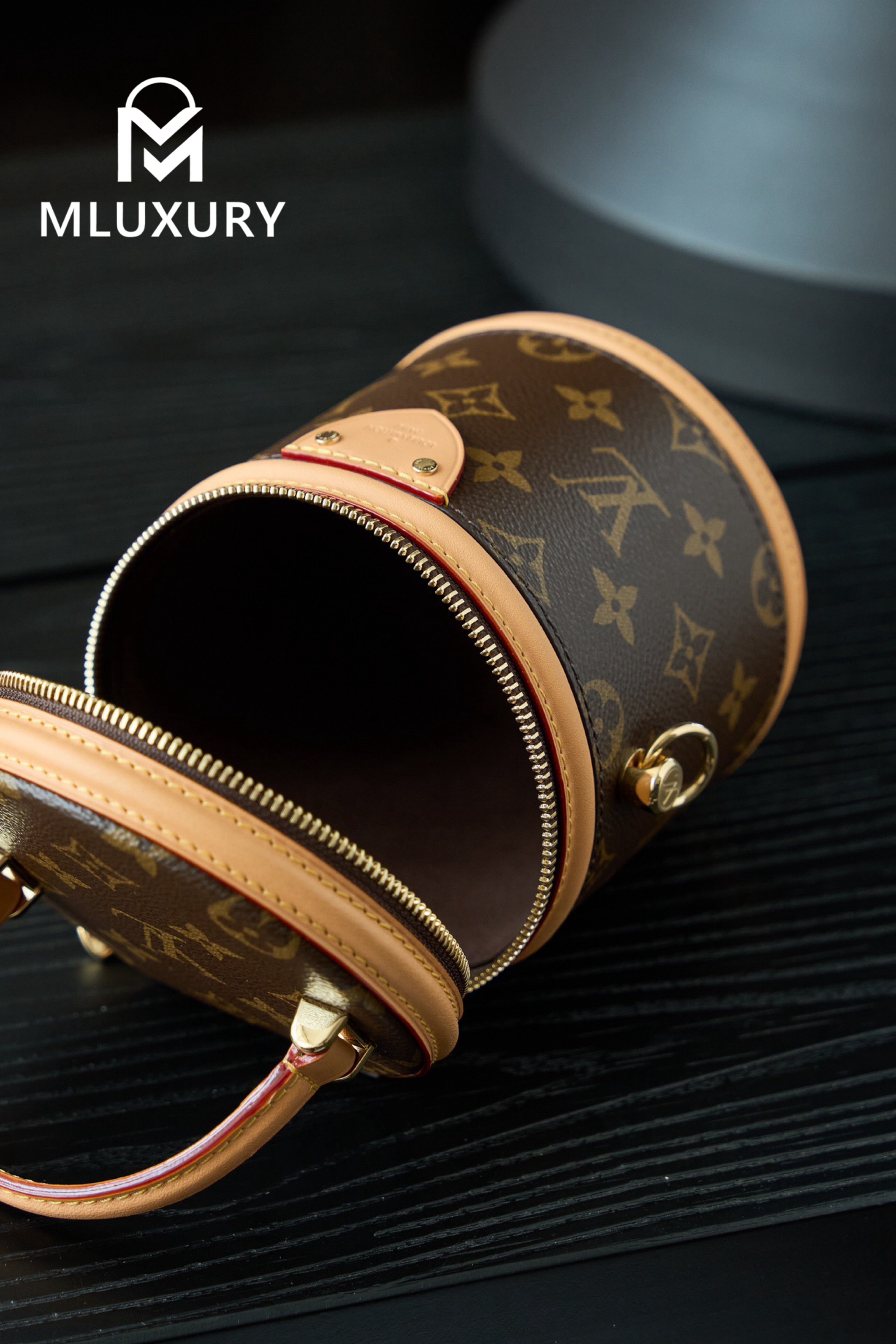 LOUIS VUITTON NANO CANNES Handbag