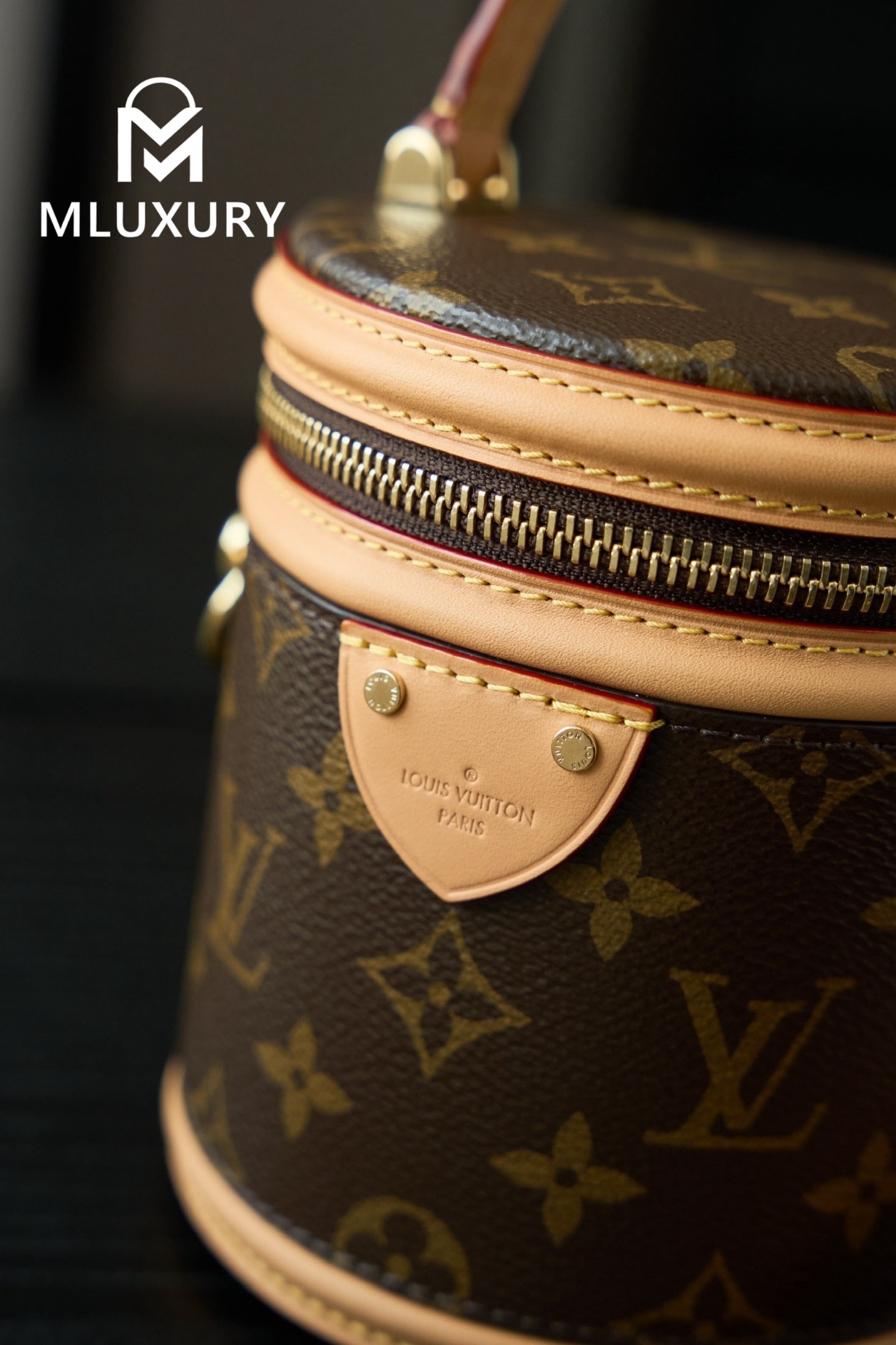 LOUIS VUITTON NANO CANNES Handbag
