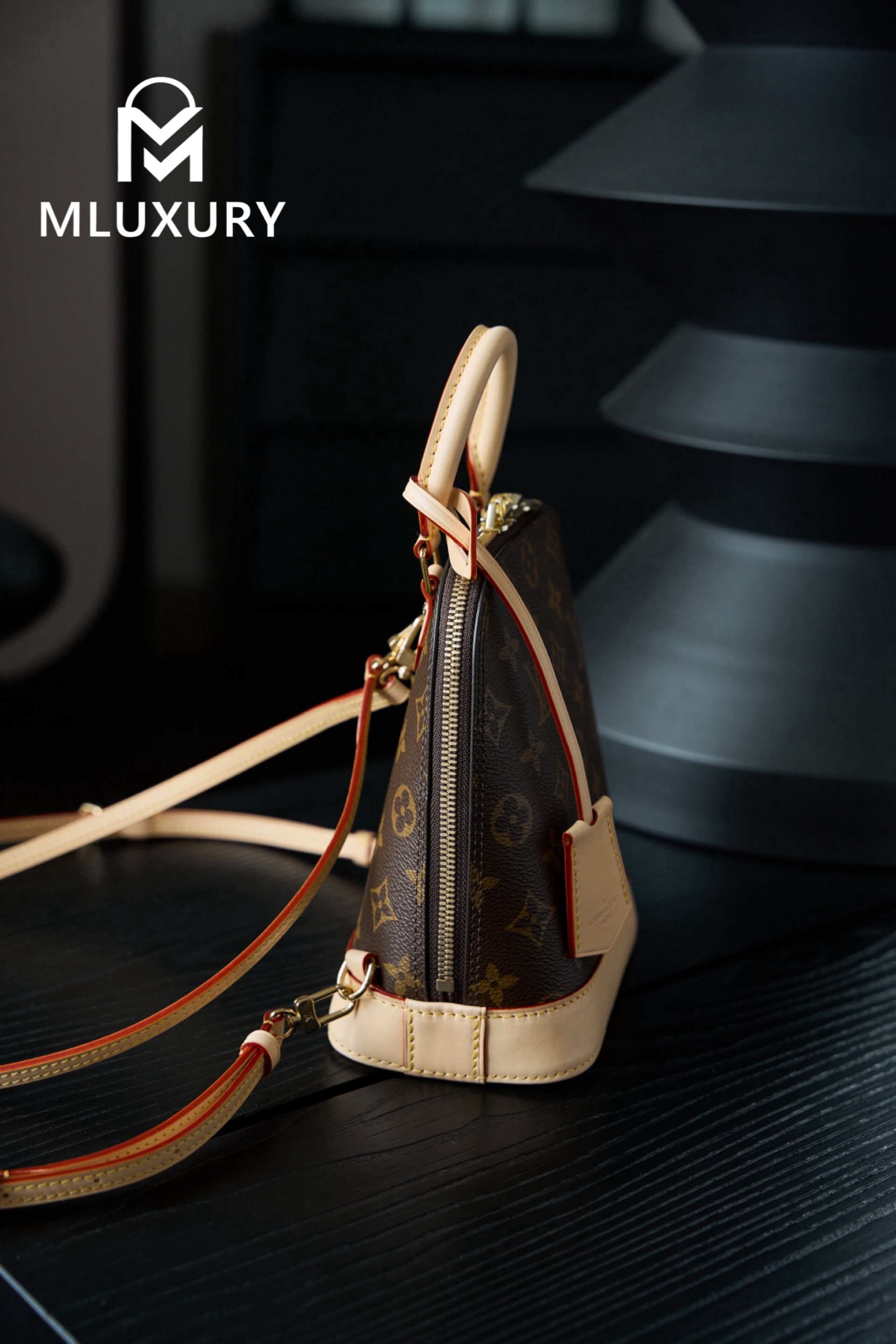 LOUIS VUITTON ALMA Shell Backpack