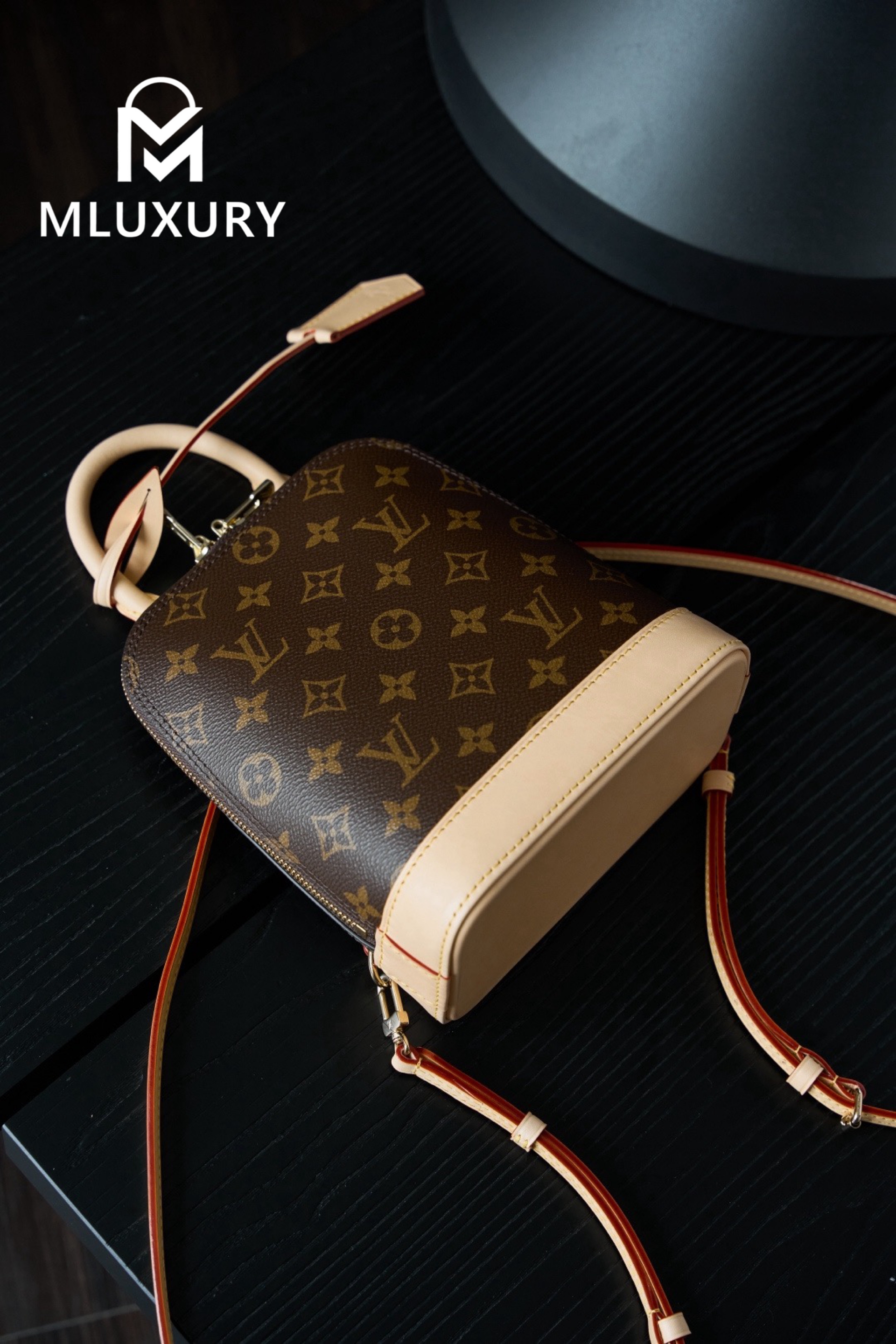 LOUIS VUITTON ALMA Shell Backpack