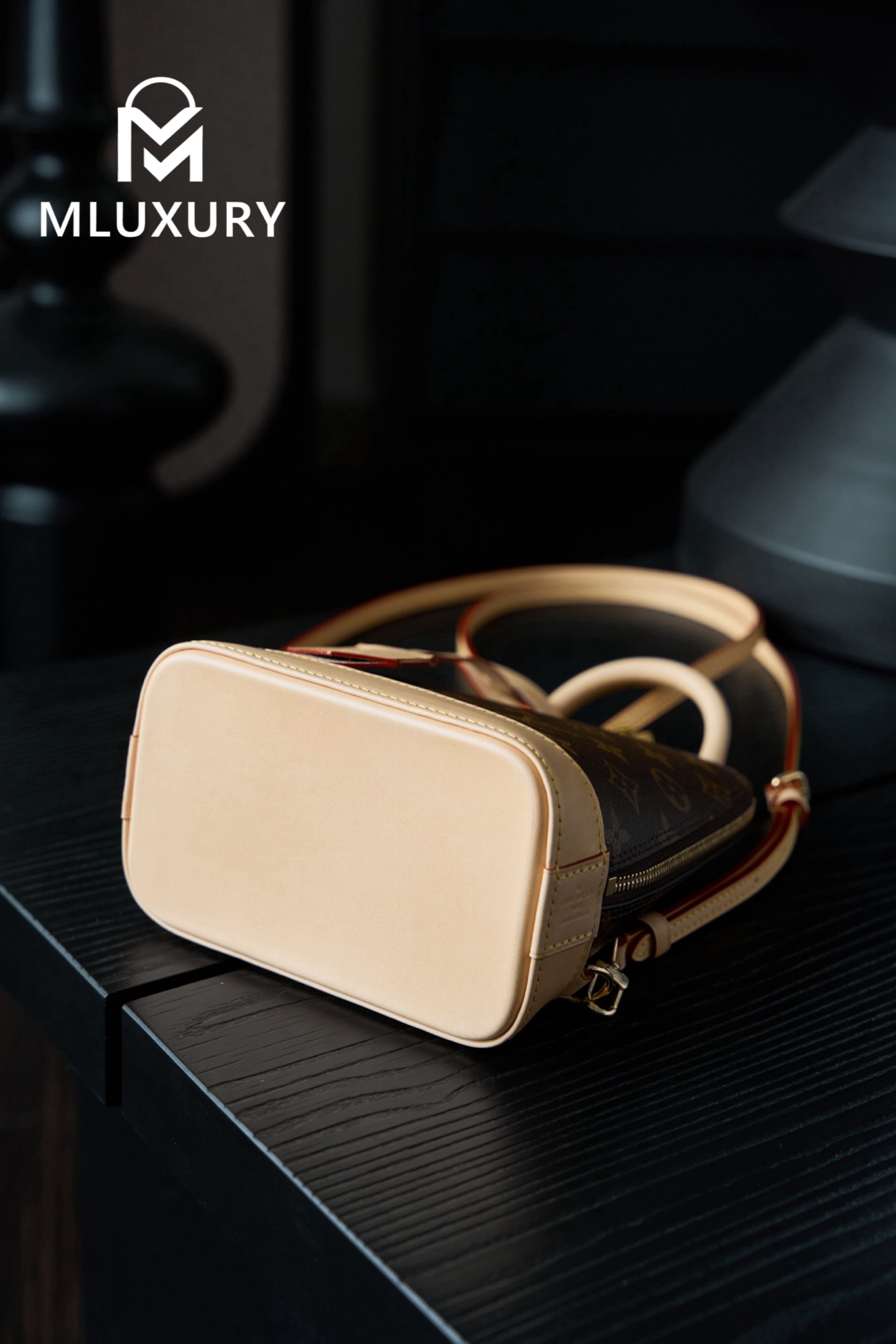 LOUIS VUITTON ALMA Shell Backpack