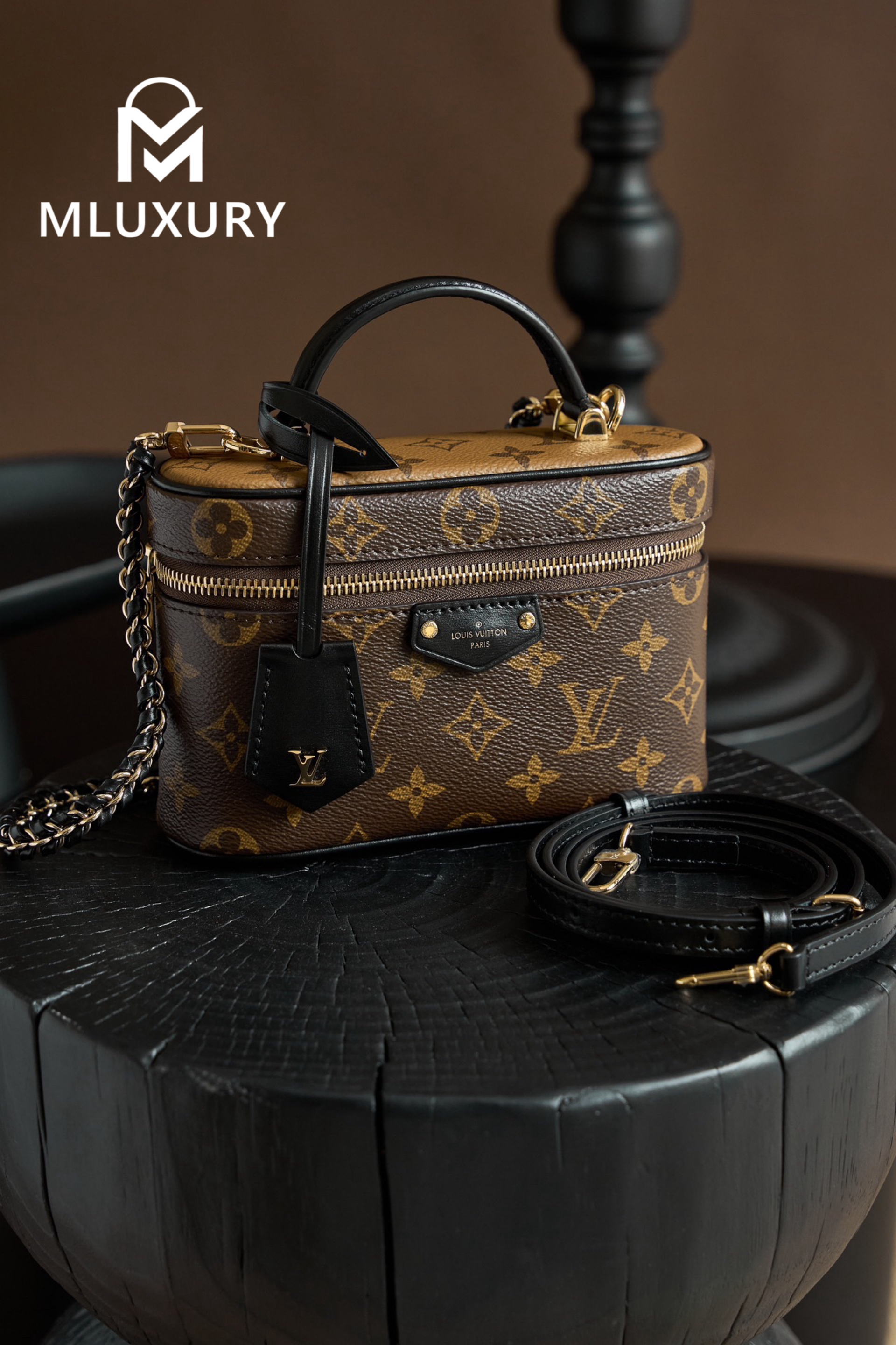 LOUIS VUITTON VANITY CHAIN ​​POUCH Handbag