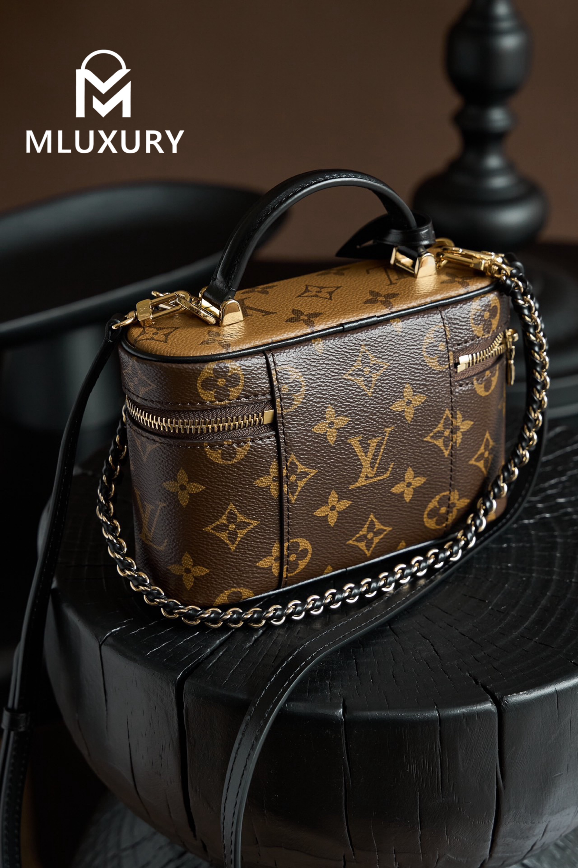 LOUIS VUITTON VANITY CHAIN ​​POUCH Handbag
