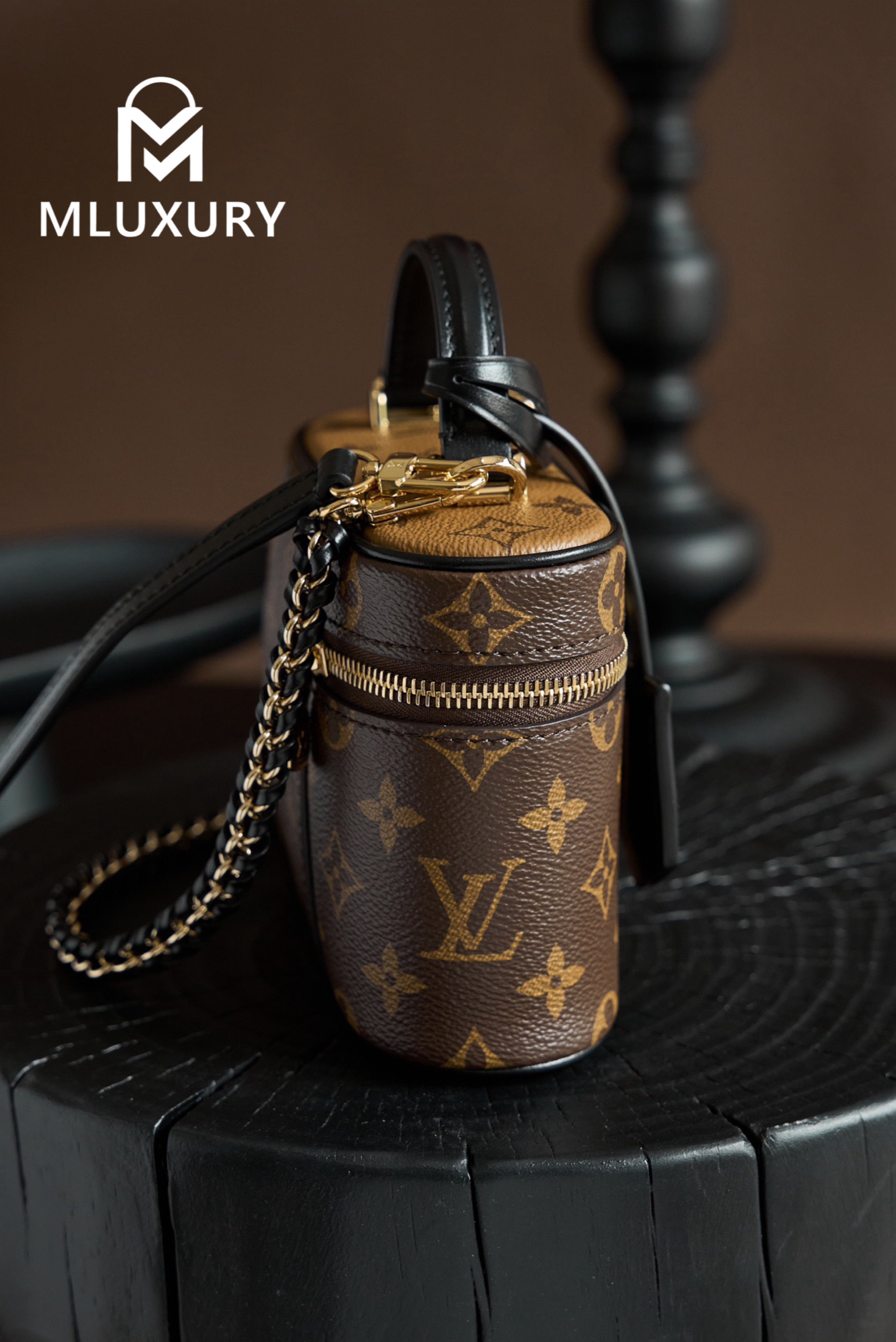 LOUIS VUITTON VANITY CHAIN ​​POUCH Handbag