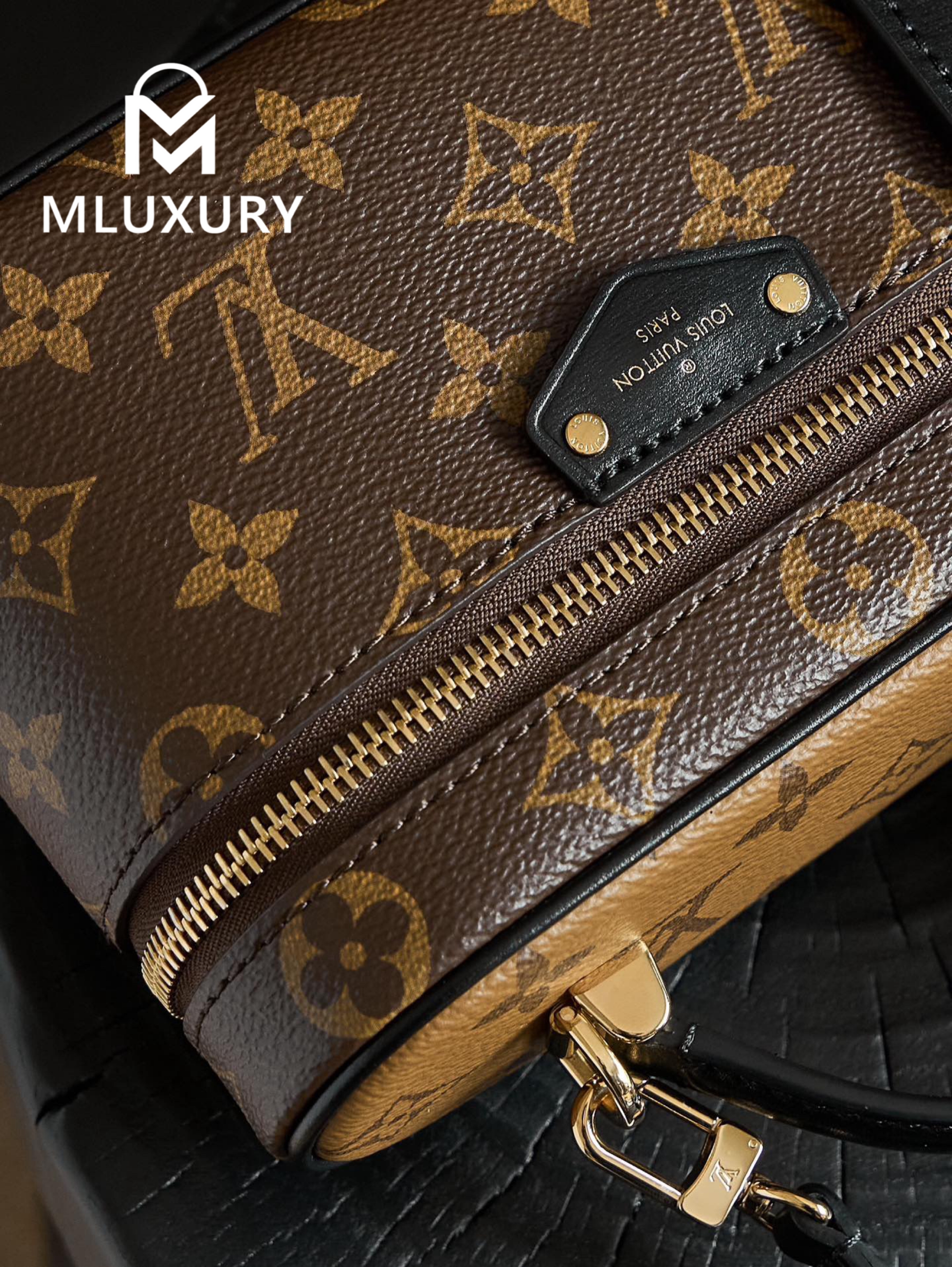 LOUIS VUITTON VANITY CHAIN ​​POUCH Handbag