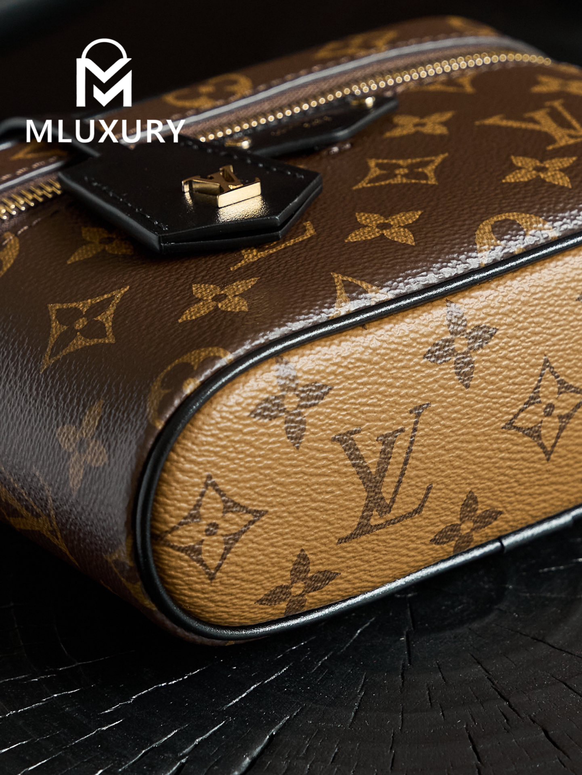 LOUIS VUITTON VANITY CHAIN ​​POUCH Handbag