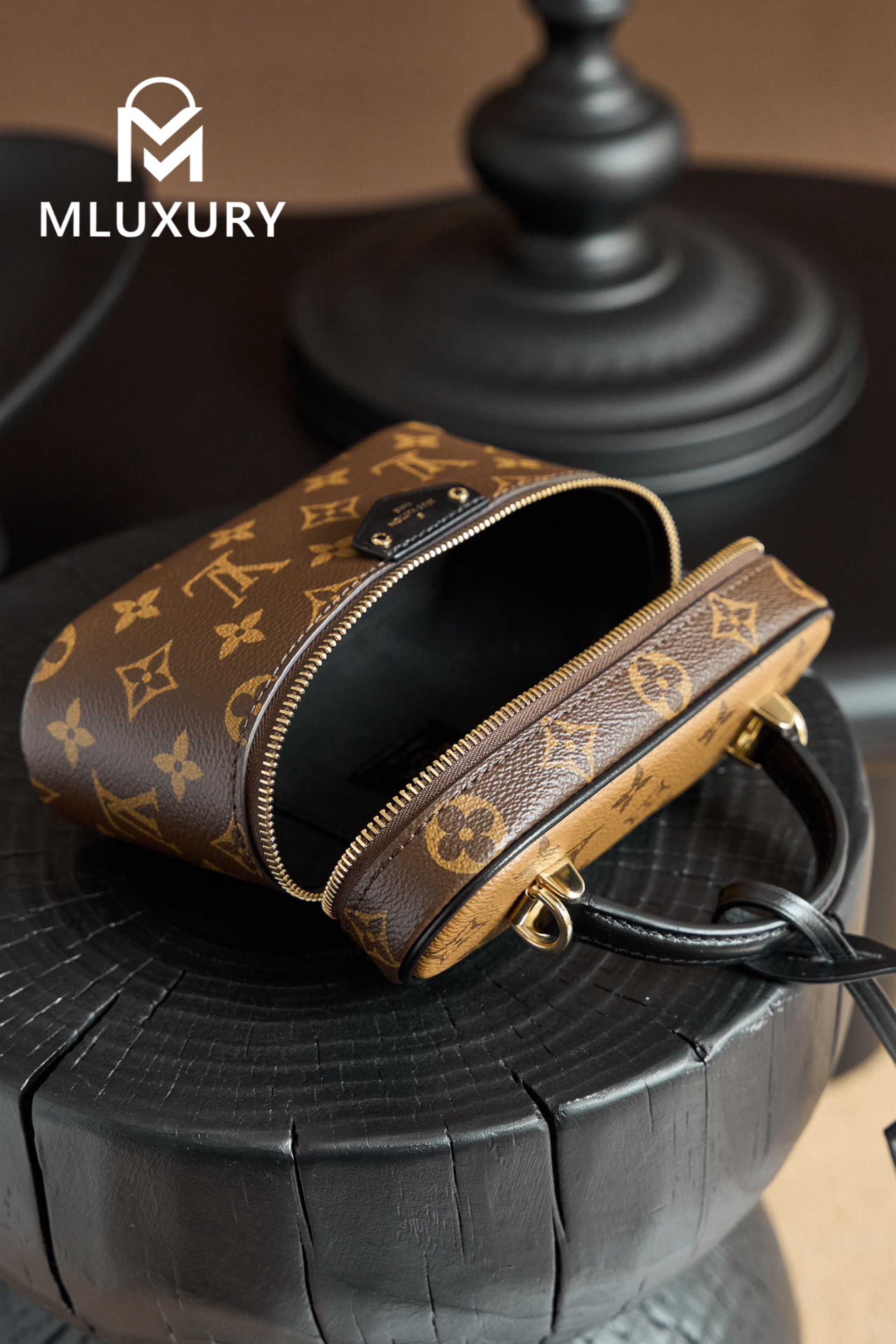 LOUIS VUITTON VANITY CHAIN ​​POUCH Handbag