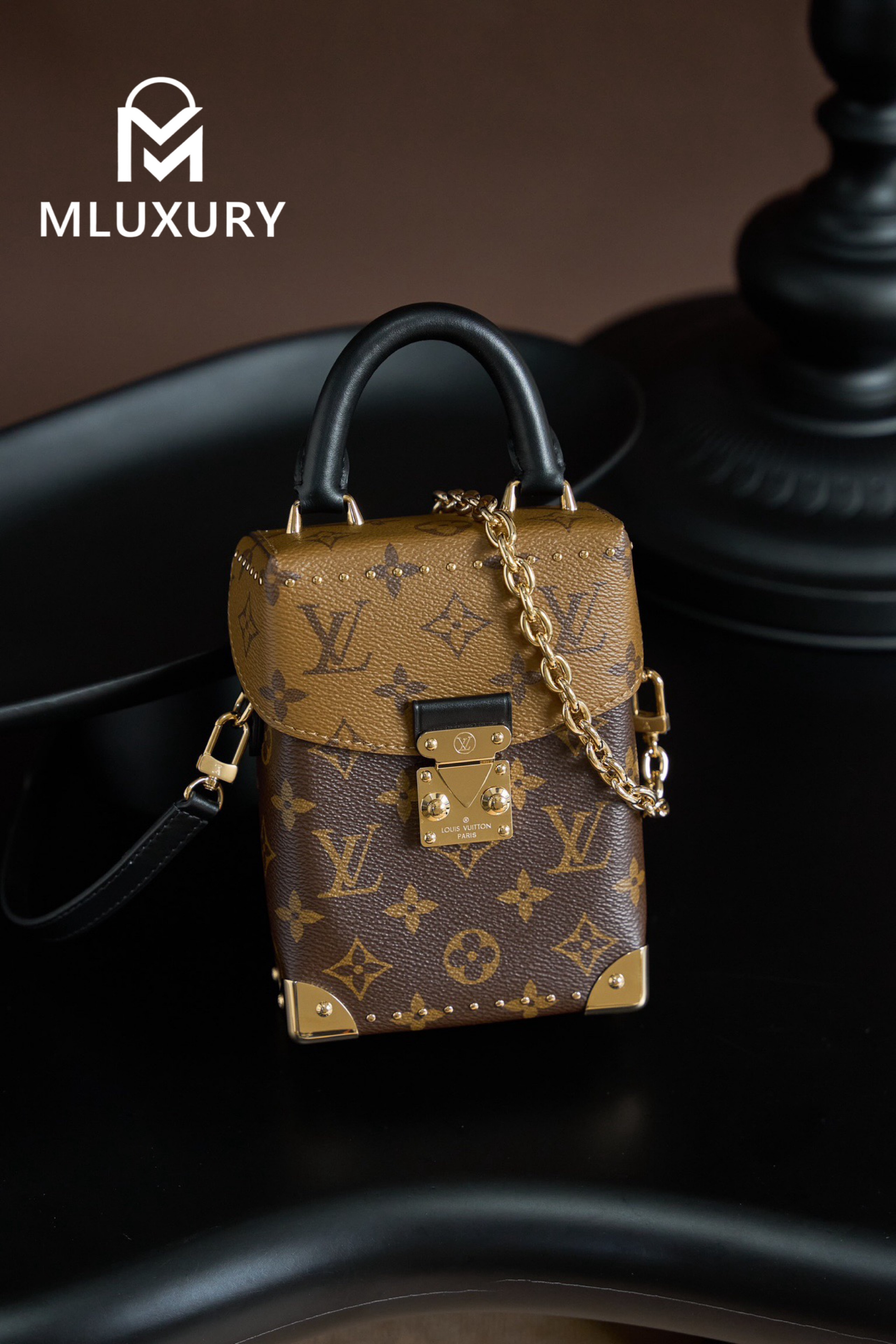 LOUIS VUITTON CAMERA BOX Handbag