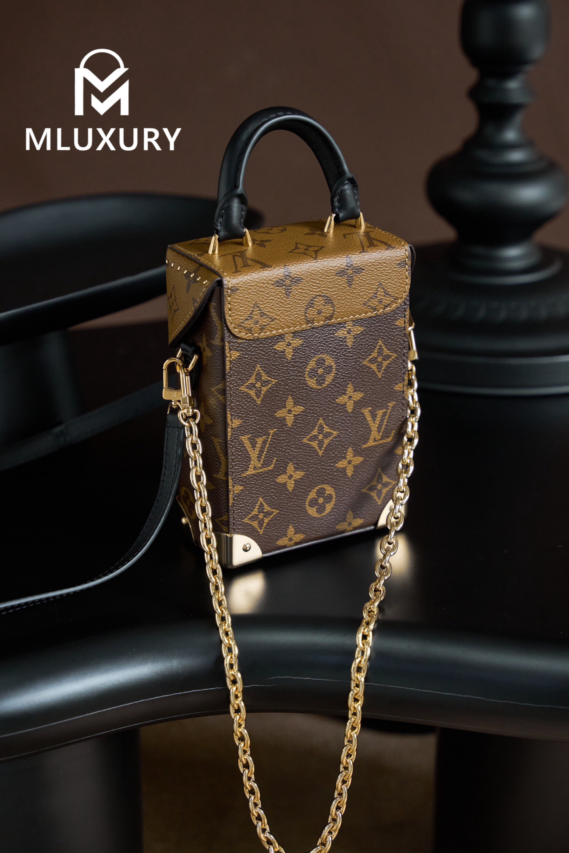 LOUIS VUITTON CAMERA BOX Handbag
