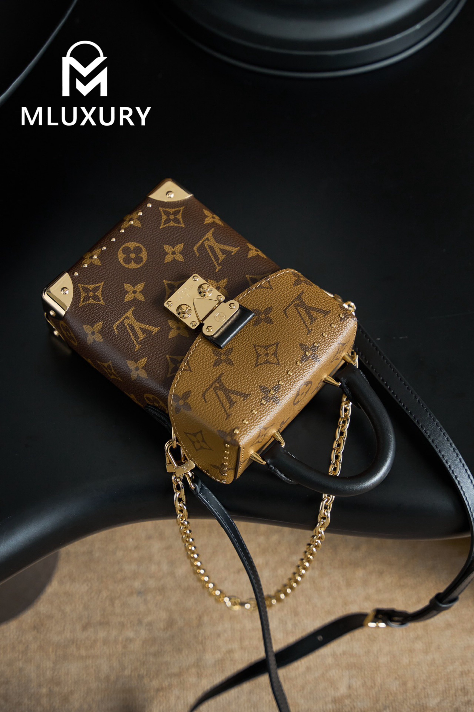 LOUIS VUITTON CAMERA BOX Handbag
