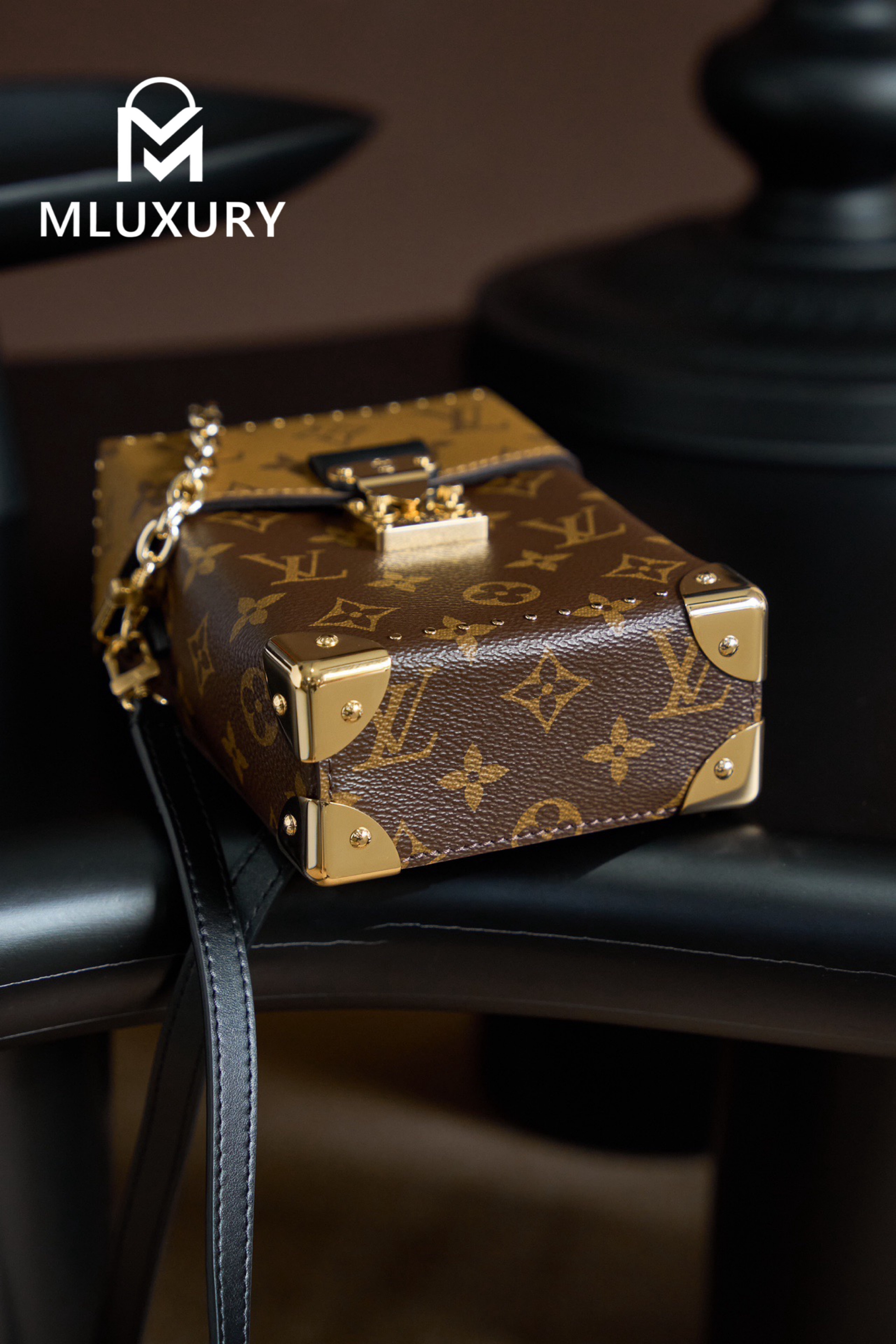 LOUIS VUITTON CAMERA BOX Handbag