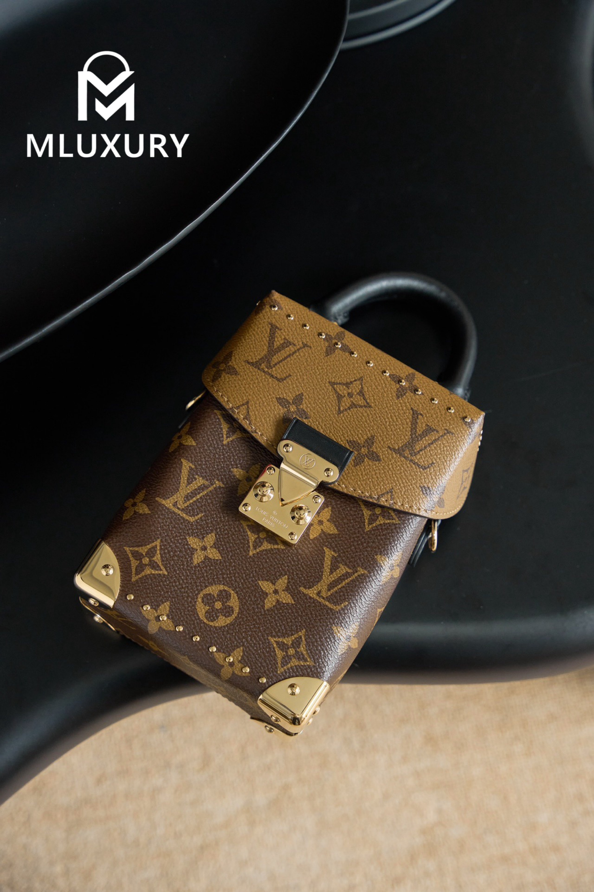 LOUIS VUITTON CAMERA BOX Handbag