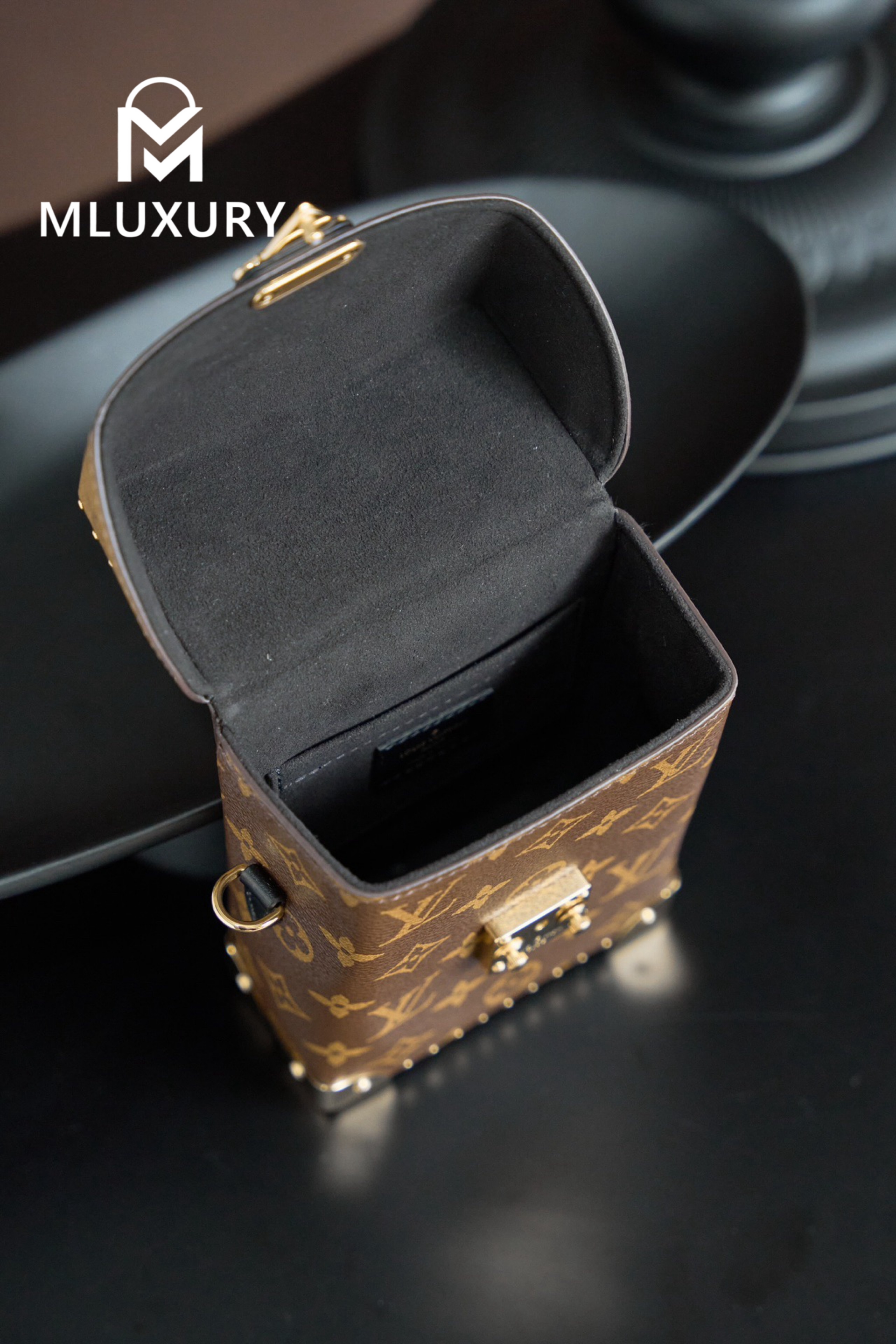 LOUIS VUITTON CAMERA BOX Handbag