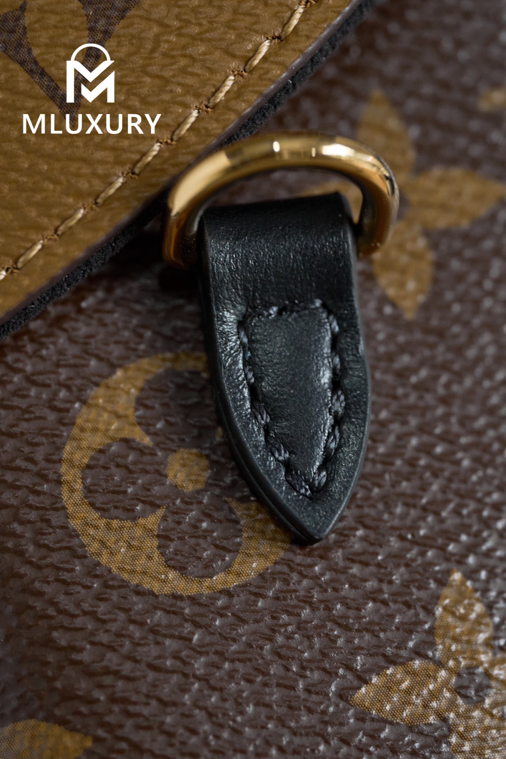 LOUIS VUITTON CAMERA BOX Handbag