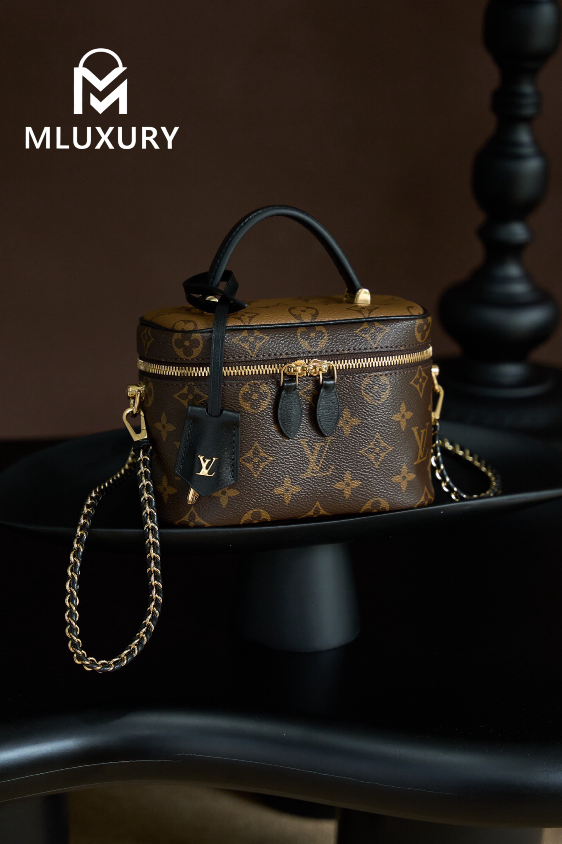 LOUIS VUITTON VANITY Handbag