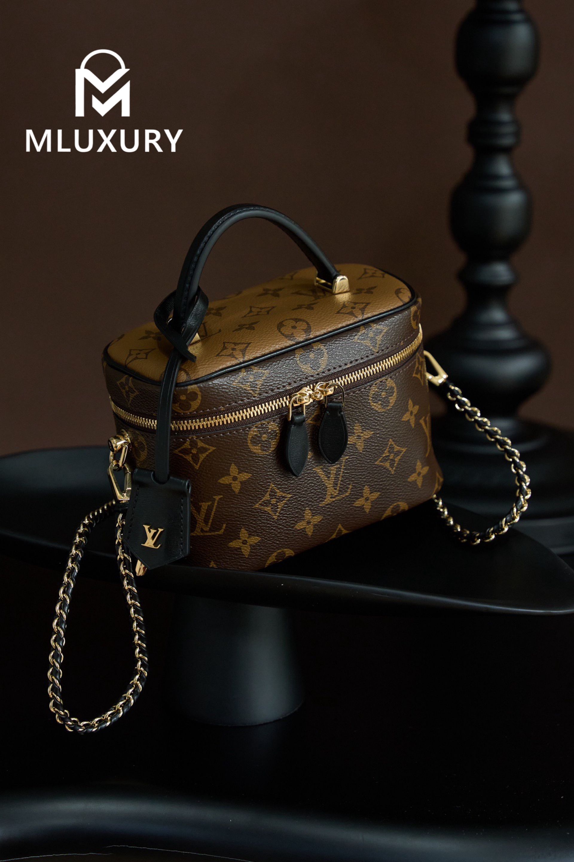 LOUIS VUITTON VANITY Handbag