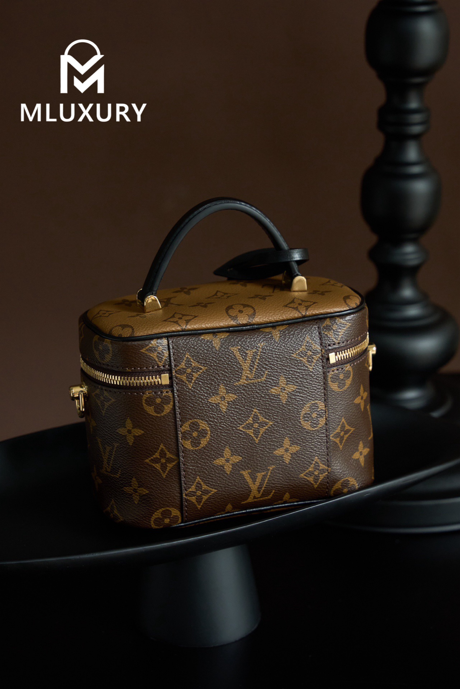 LOUIS VUITTON VANITY Handbag