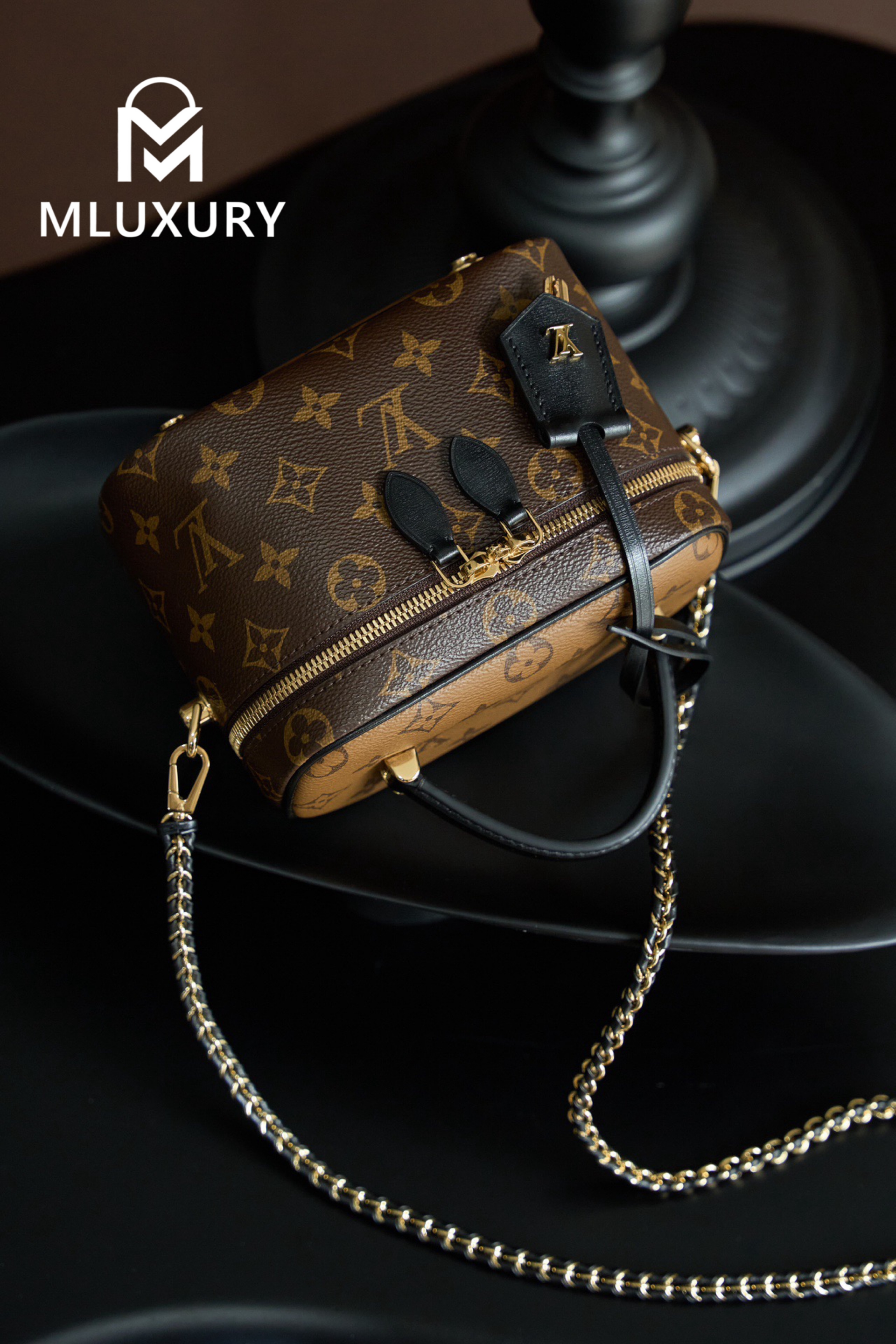 LOUIS VUITTON VANITY Handbag