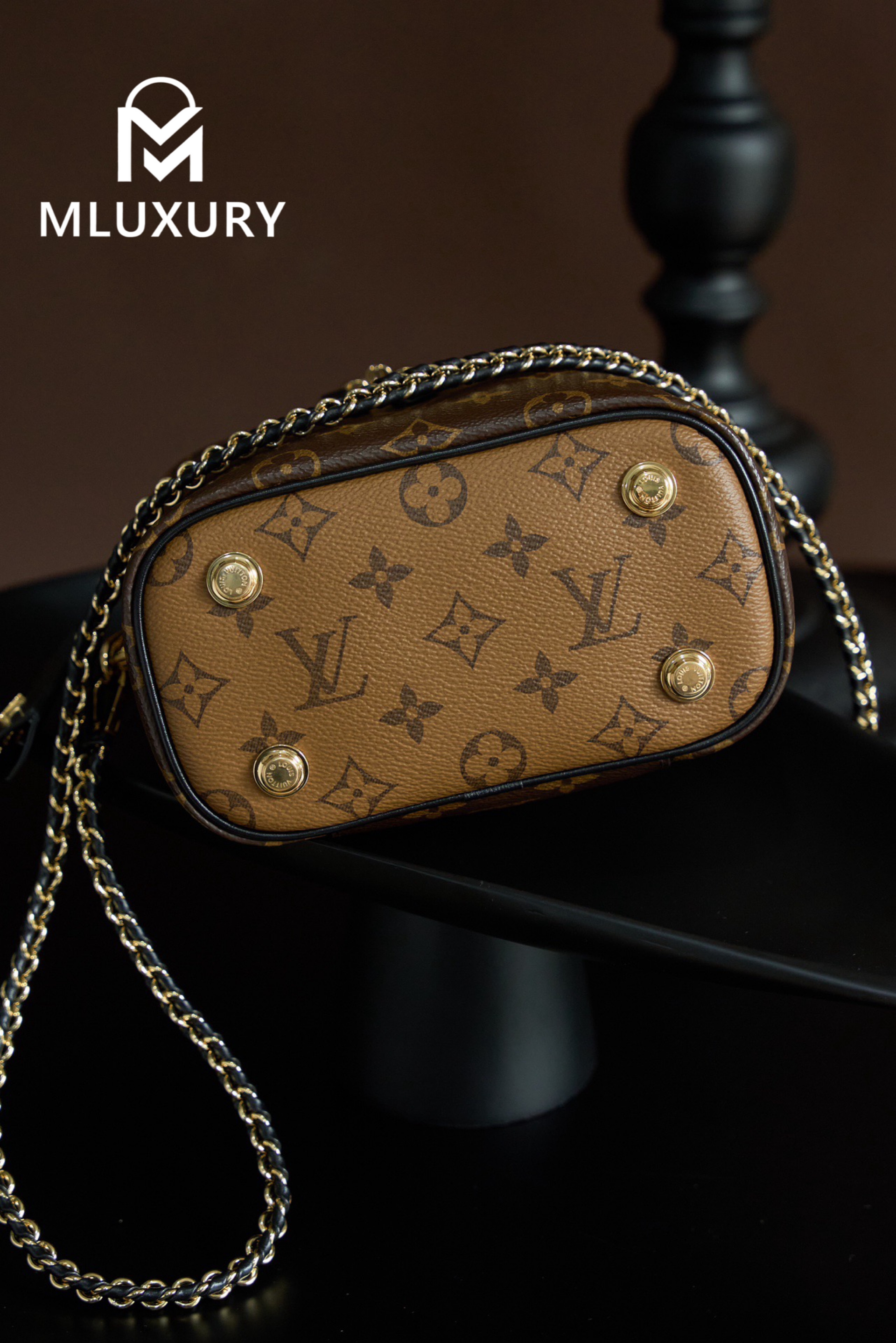 LOUIS VUITTON VANITY Handbag