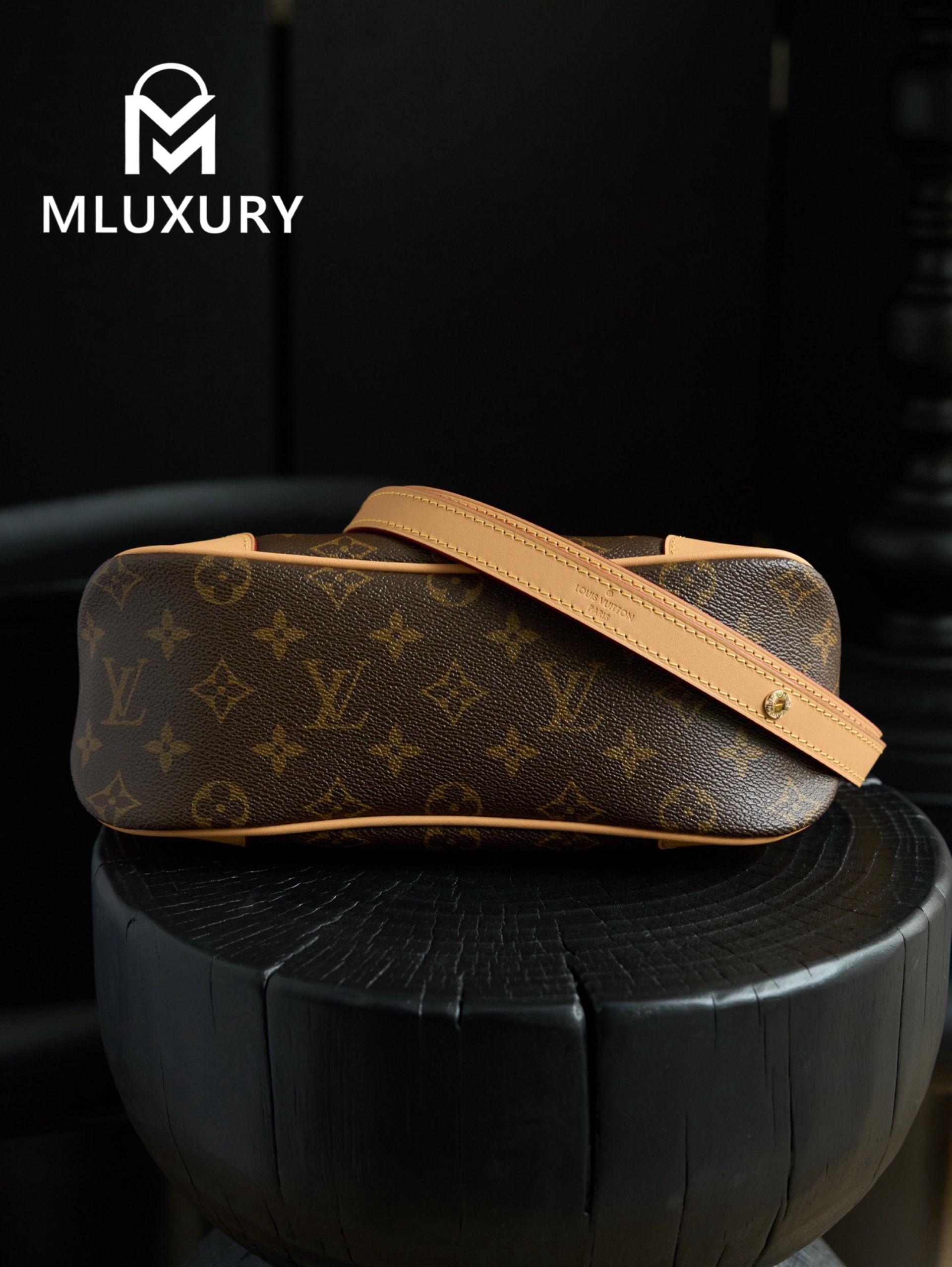 LOUIS VUITTON BOULOGNE Handbag