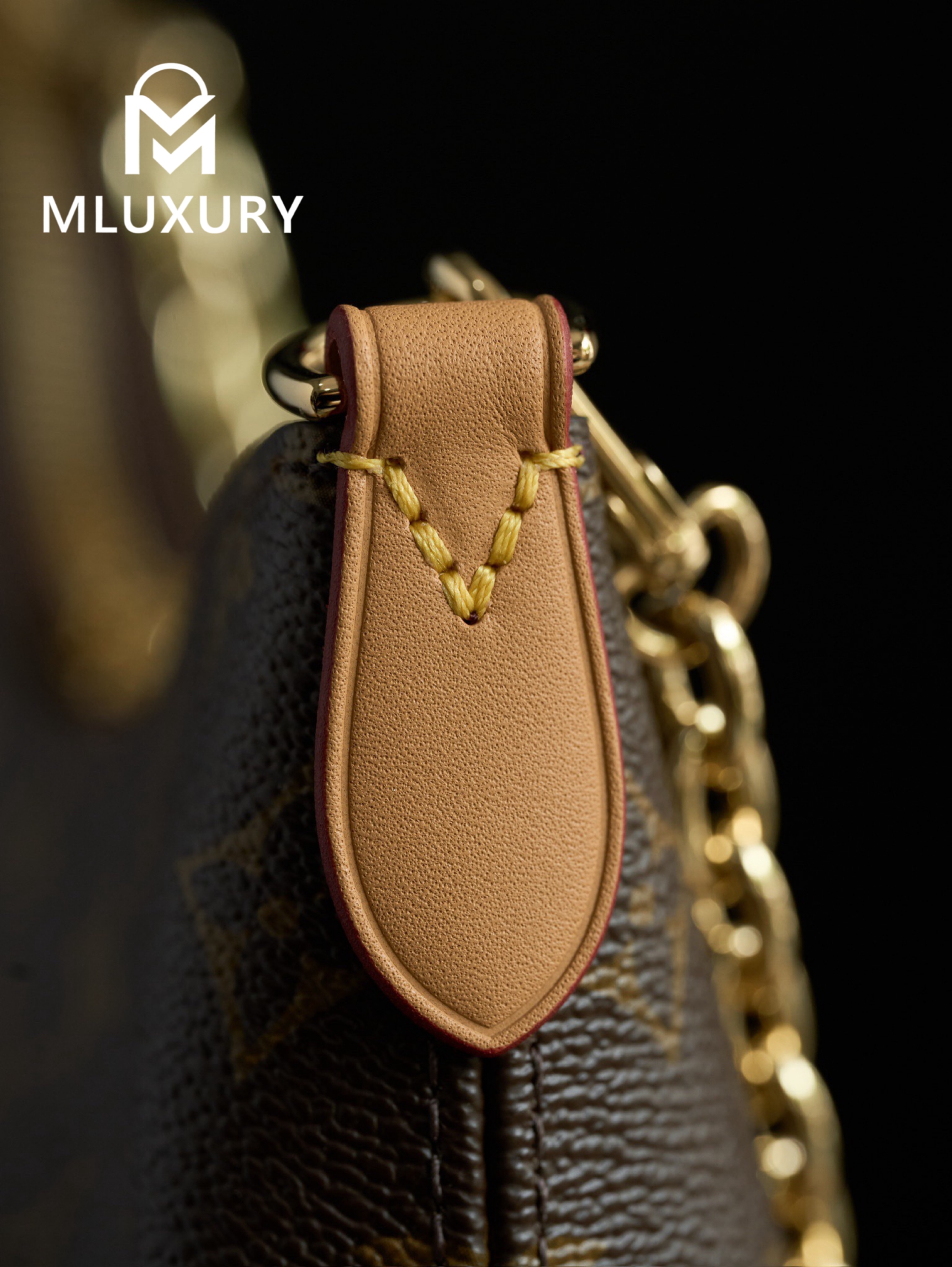 LOUIS VUITTON BOULOGNE Handbag