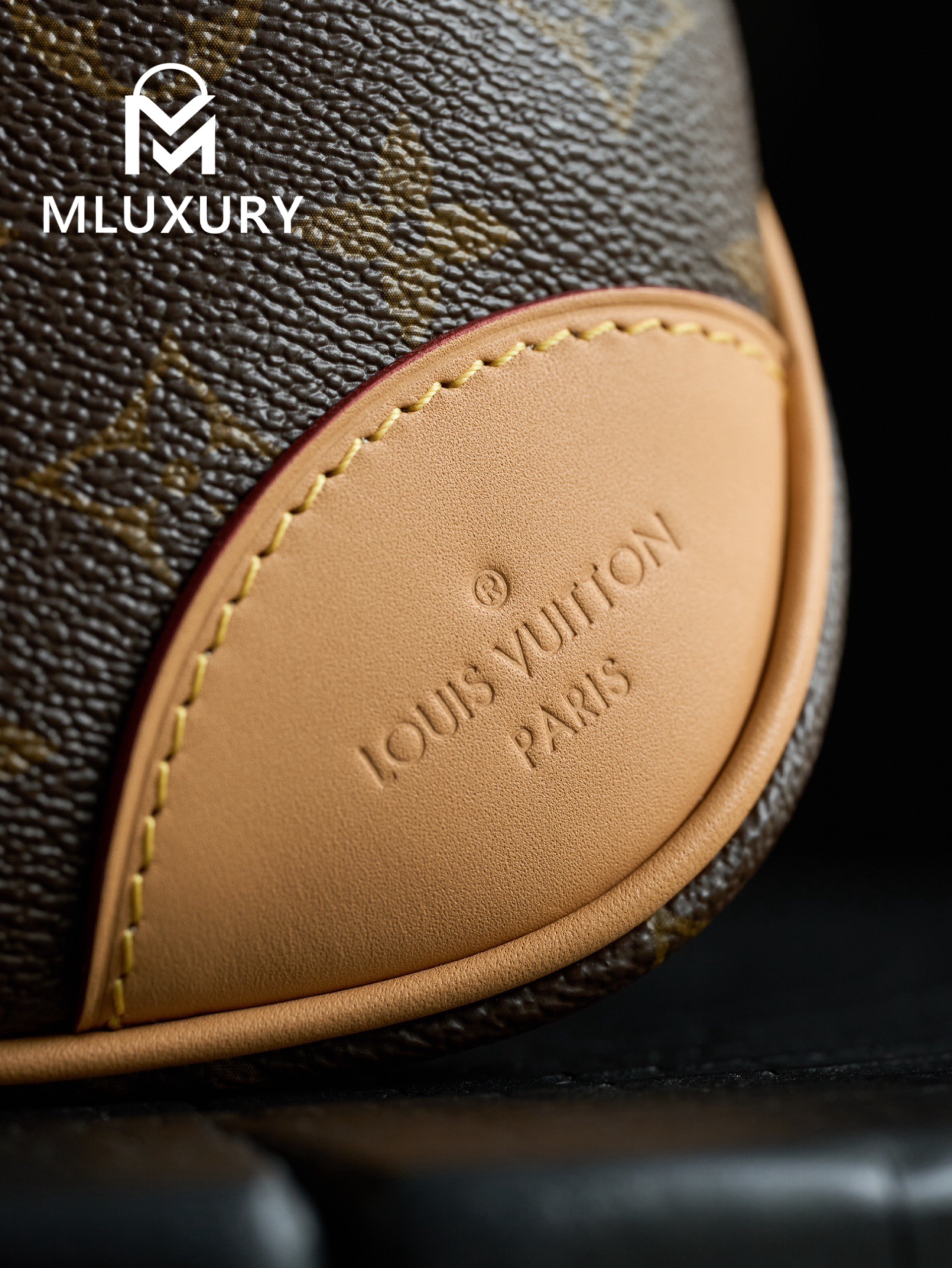 LOUIS VUITTON BOULOGNE Handbag