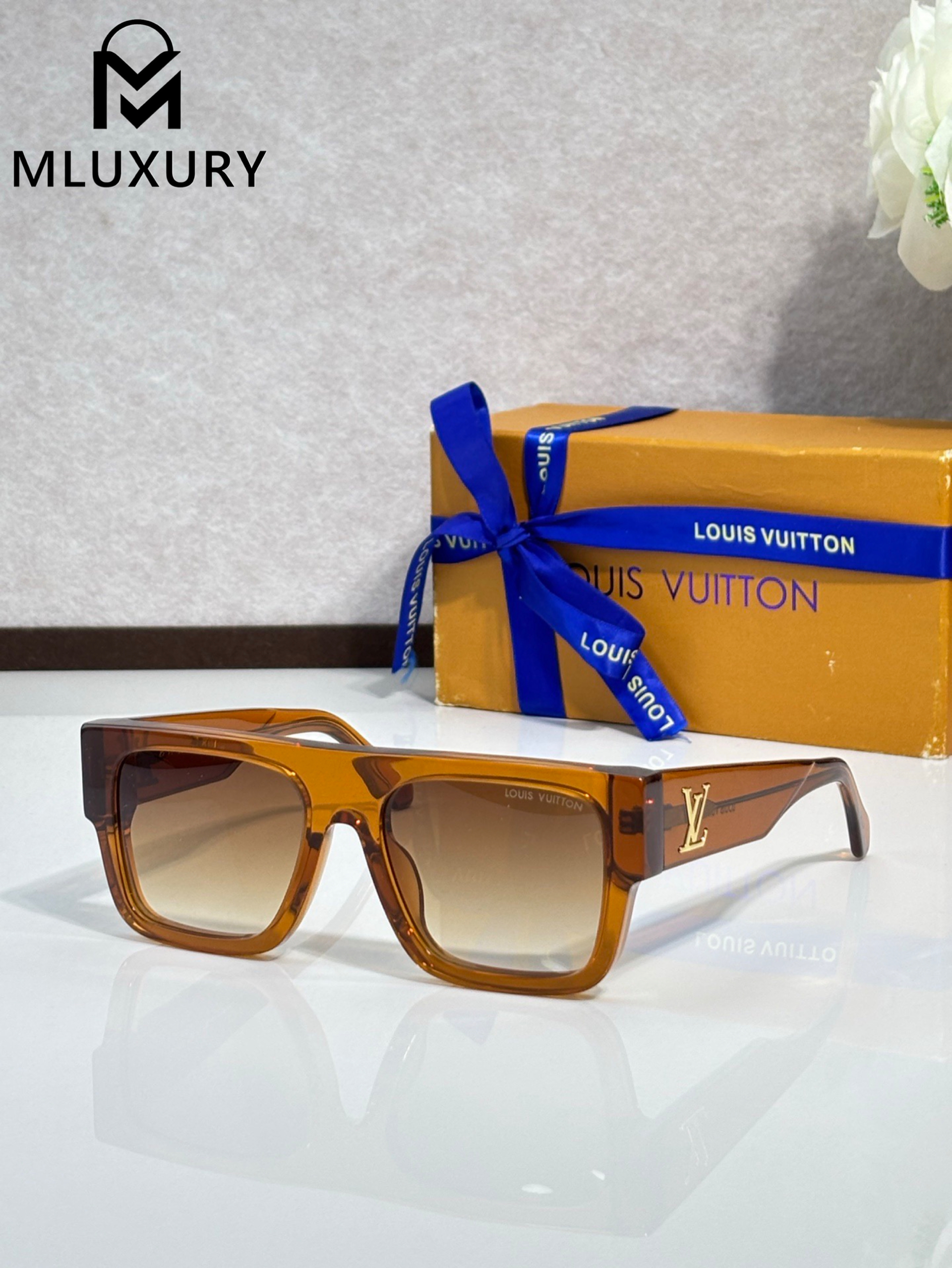 LOUIS VUITTON Z2707E