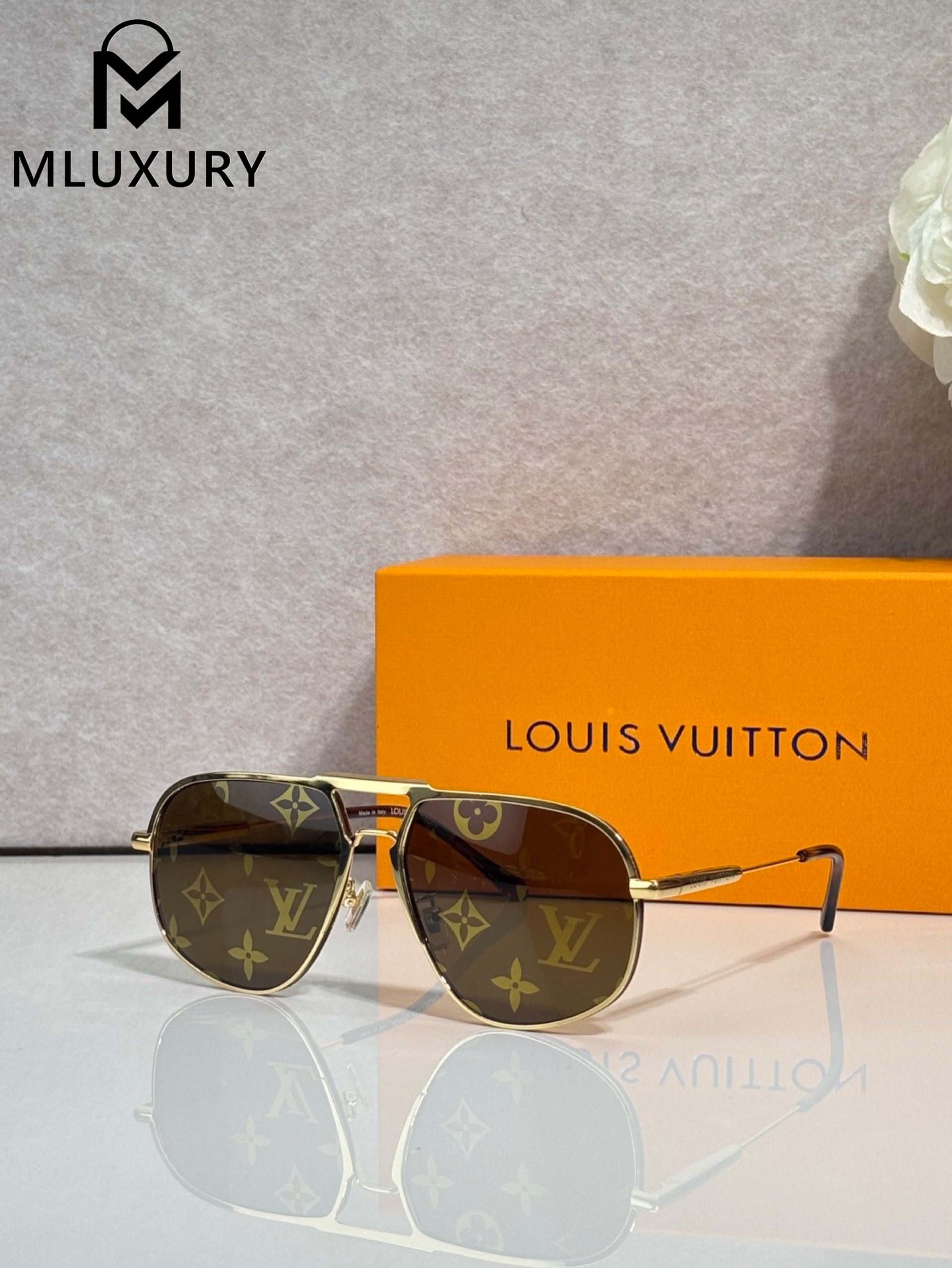 LOUIS VUITTON Z40191W