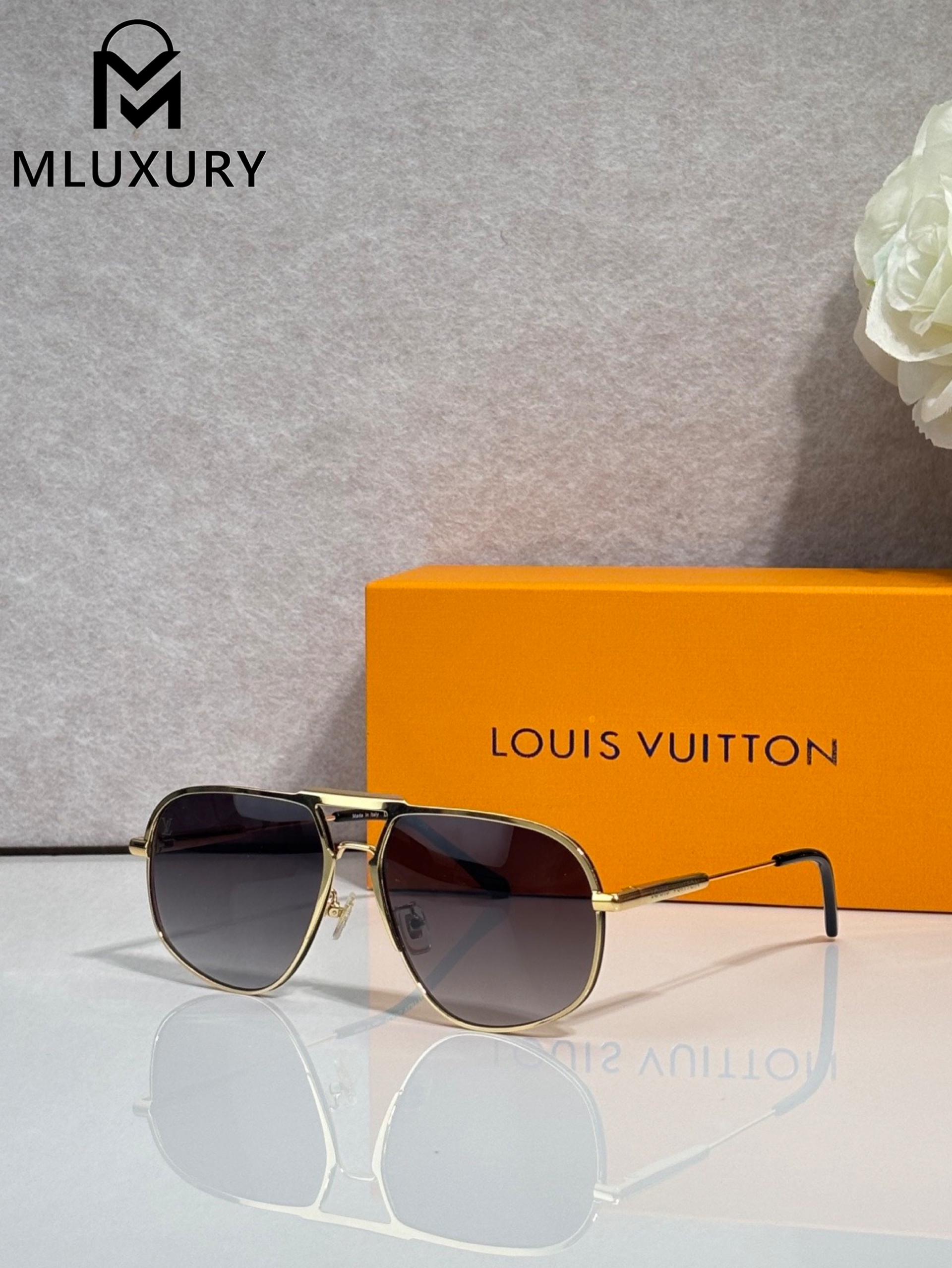 LOUIS VUITTON Z40191W