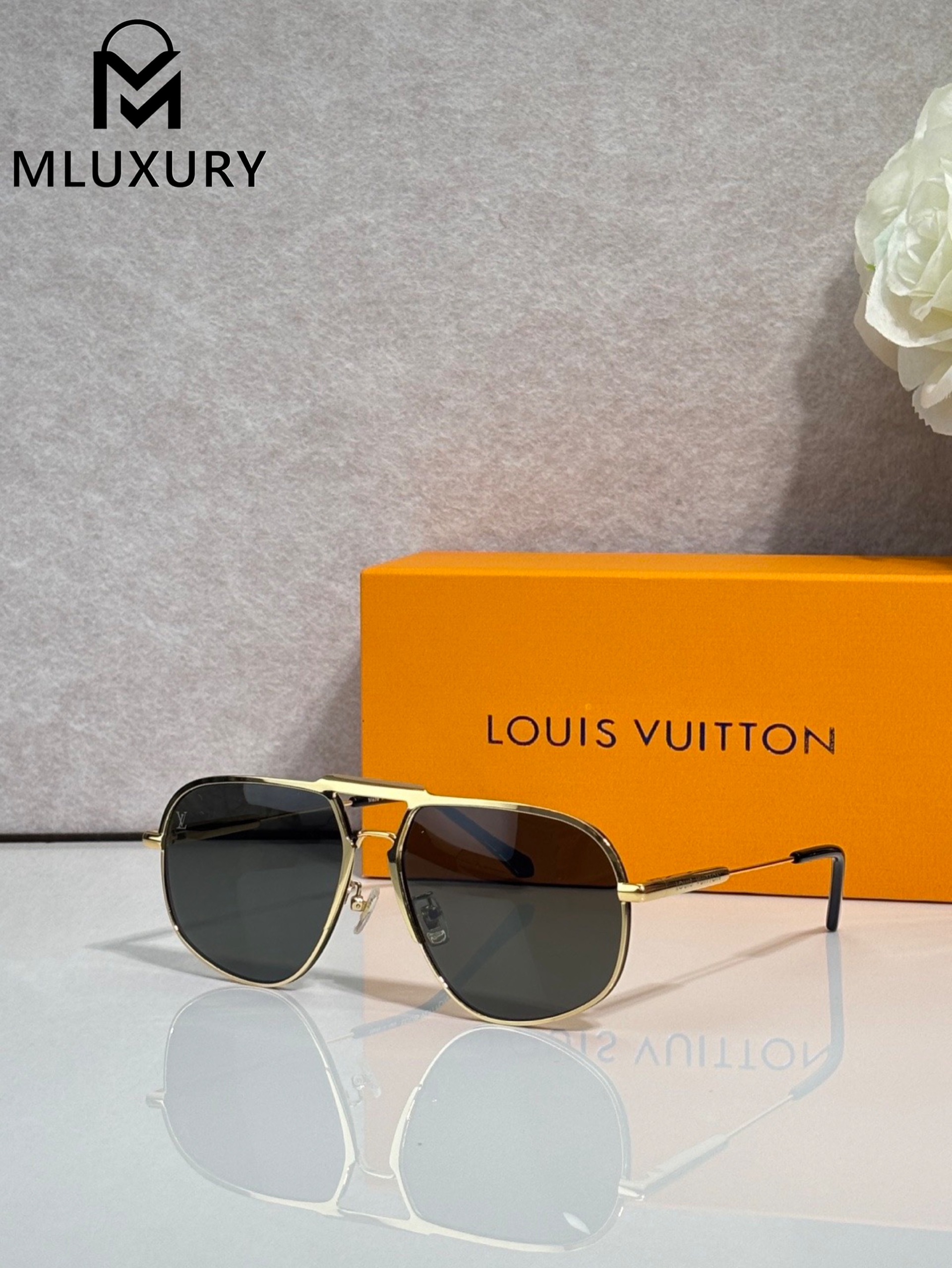 LOUIS VUITTON Z40191W