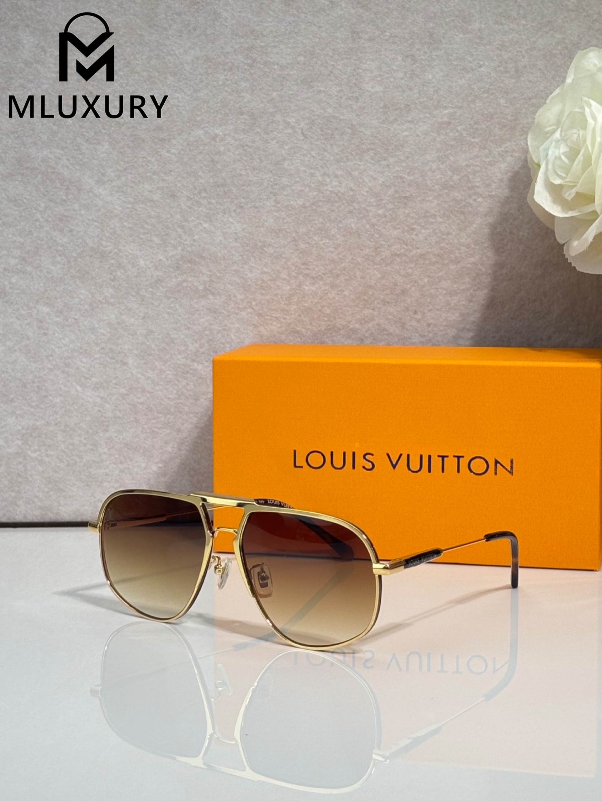 LOUIS VUITTON Z40191W