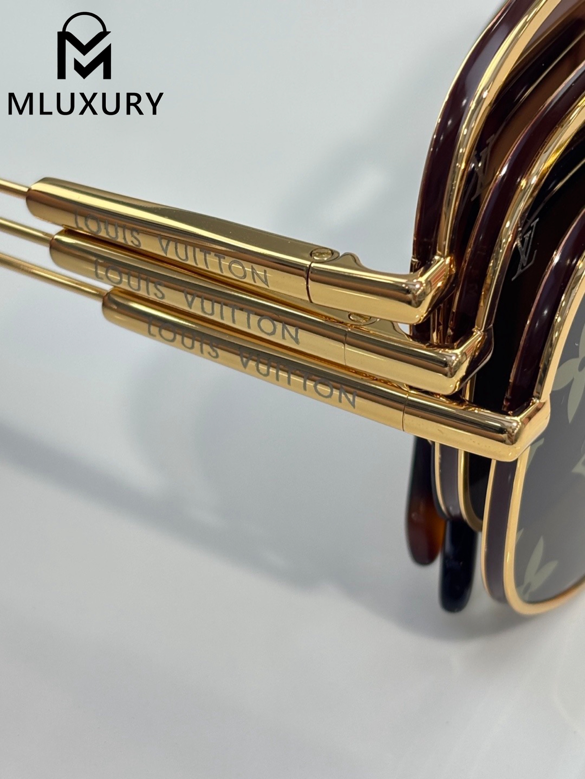 LOUIS VUITTON Z40191W
