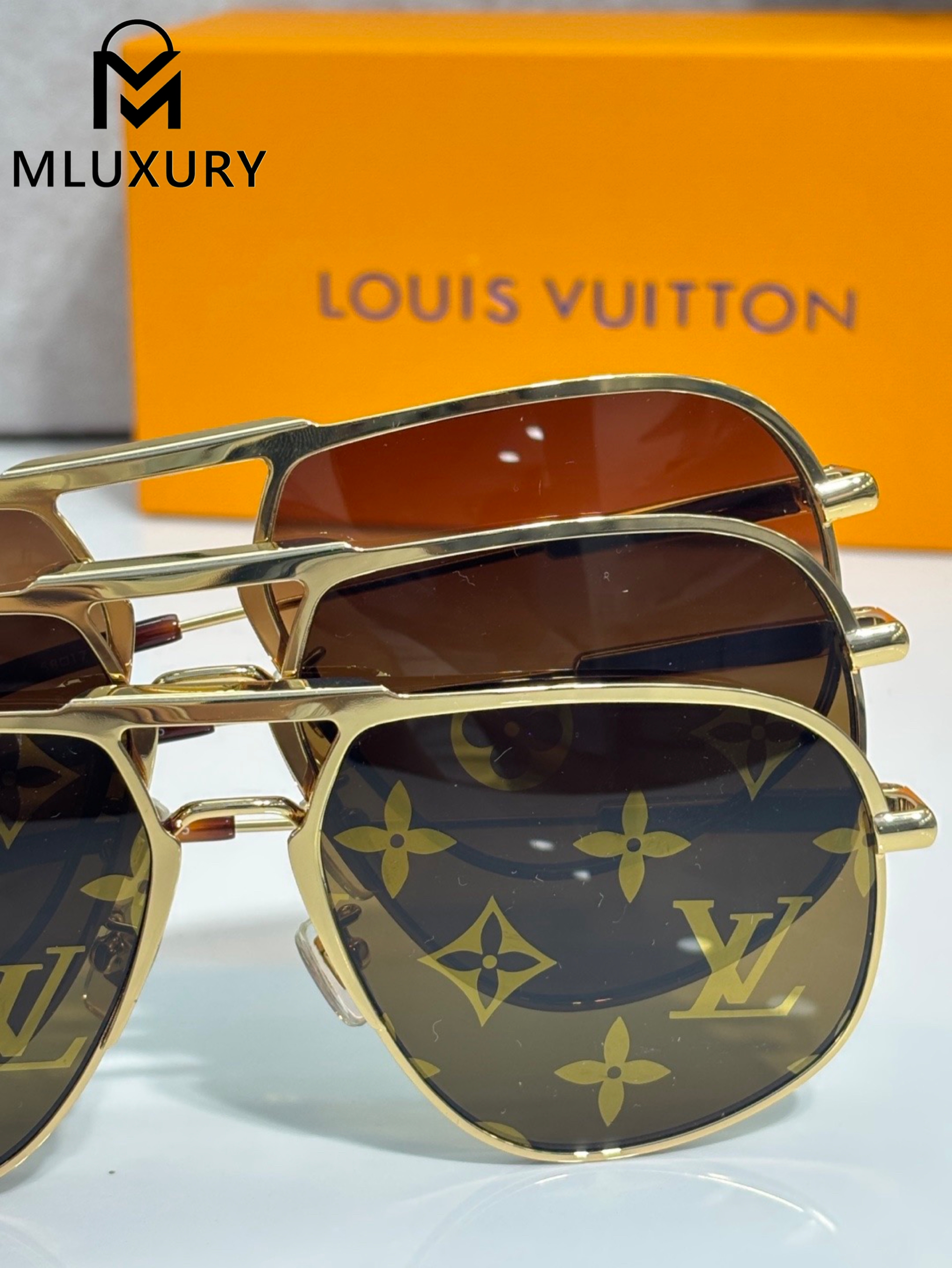 LOUIS VUITTON Z40191W