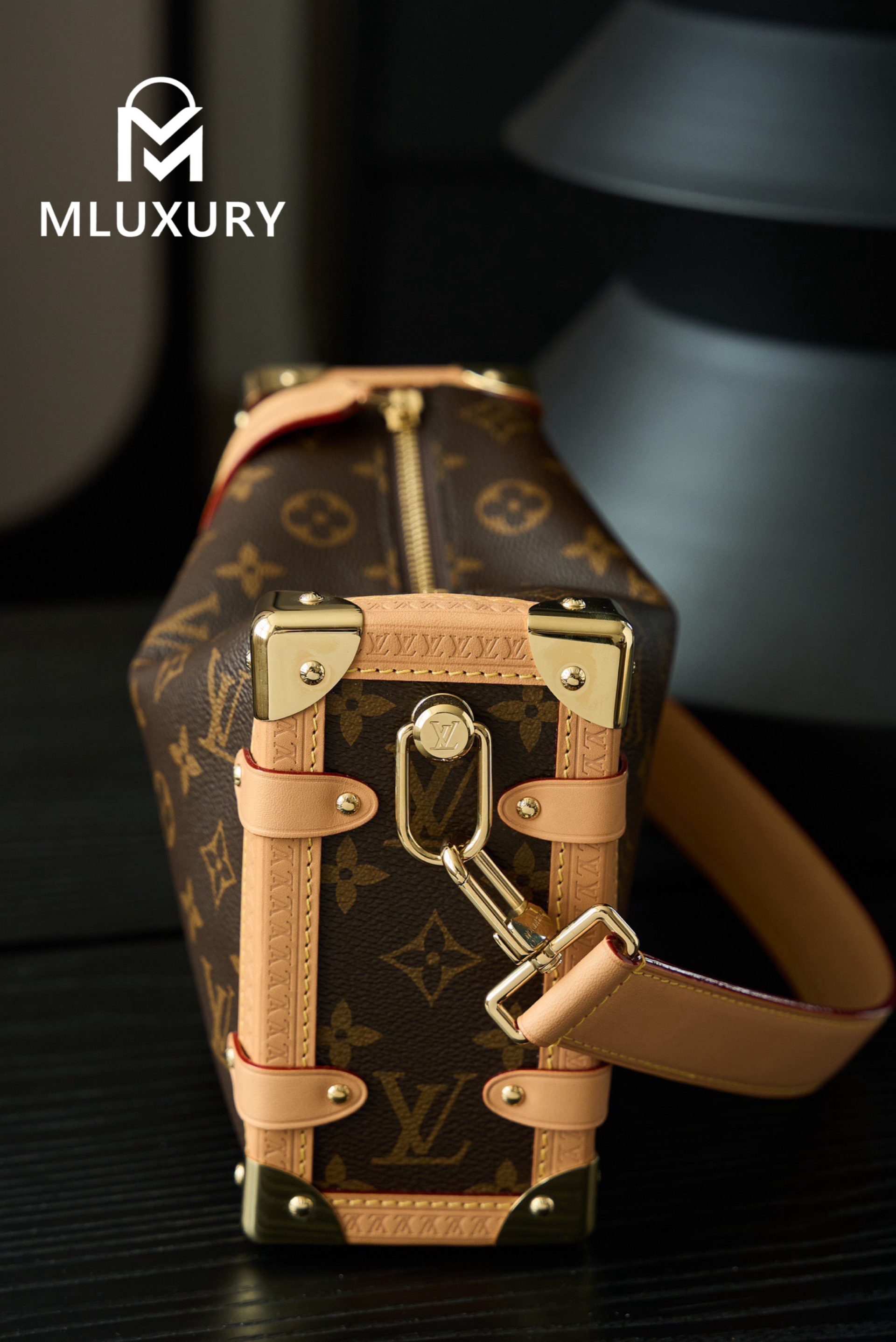 LOUIS VUITTON SIDE TRUNK Handbag