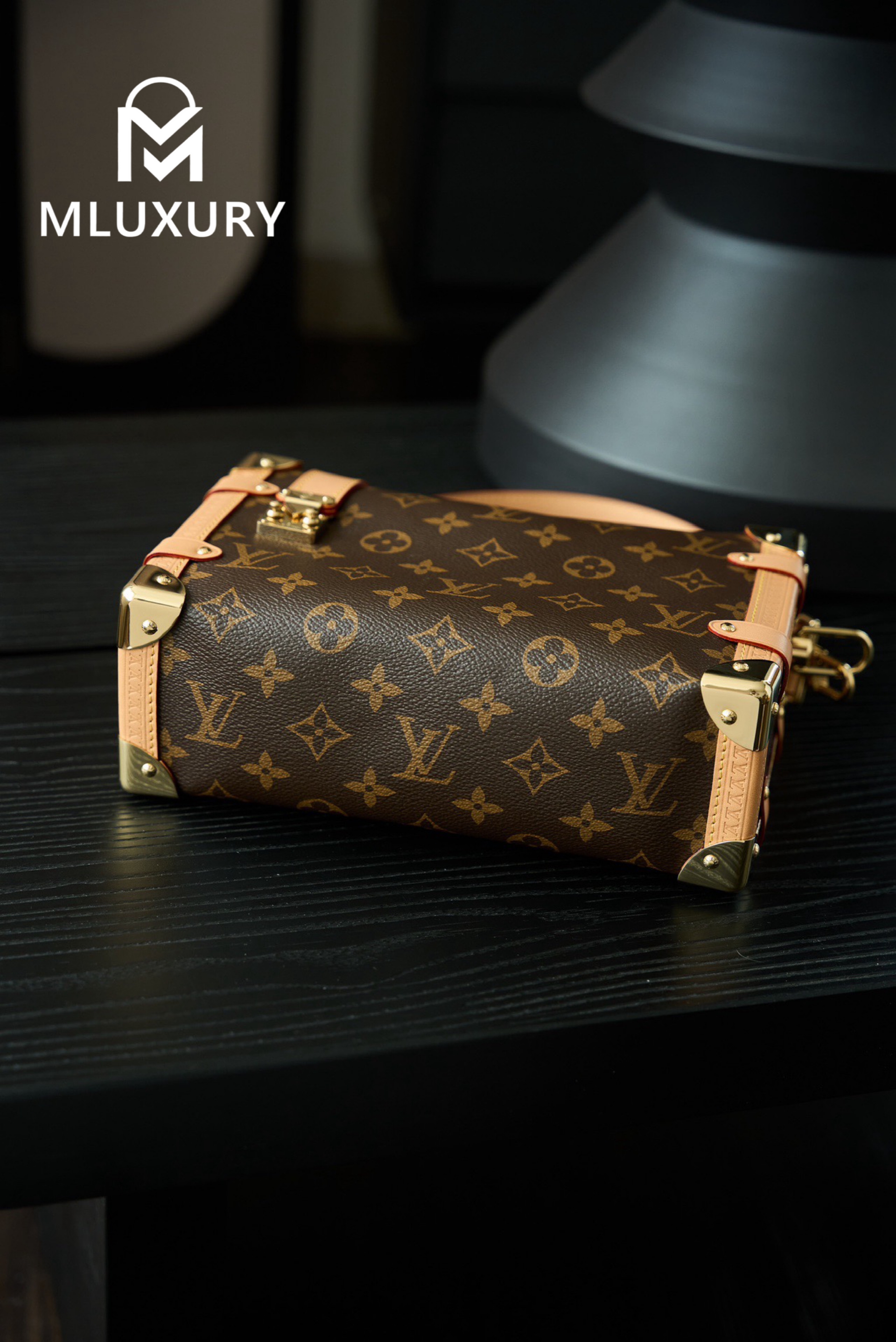 LOUIS VUITTON SIDE TRUNK Handbag
