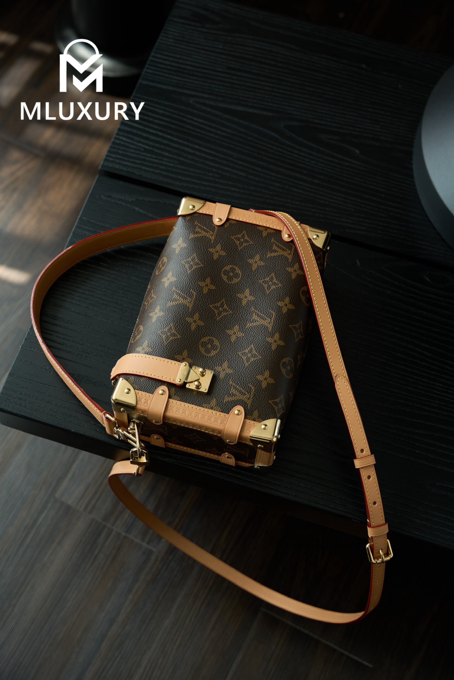 LOUIS VUITTON SIDE TRUNK Handbag