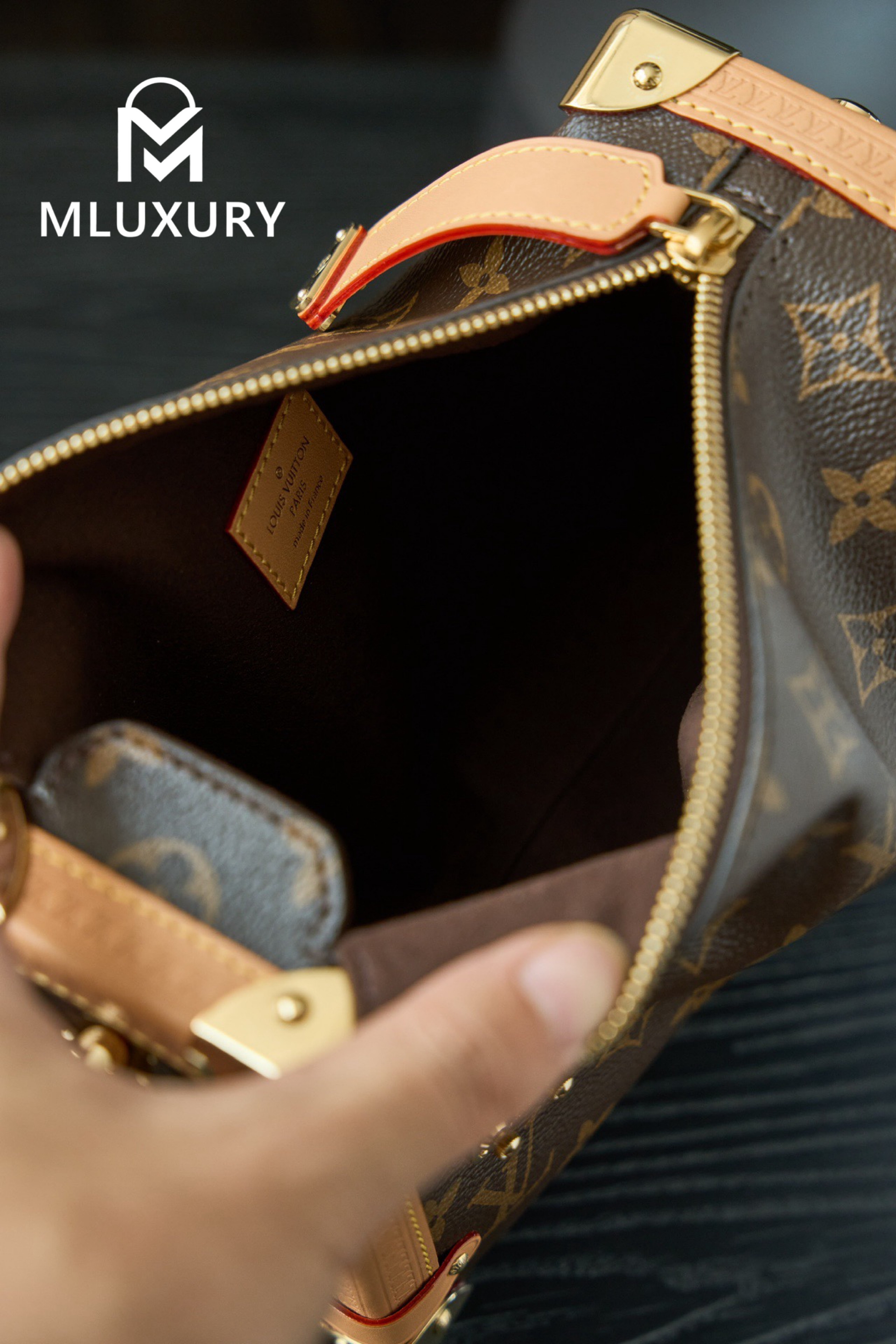 LOUIS VUITTON SIDE TRUNK Handbag