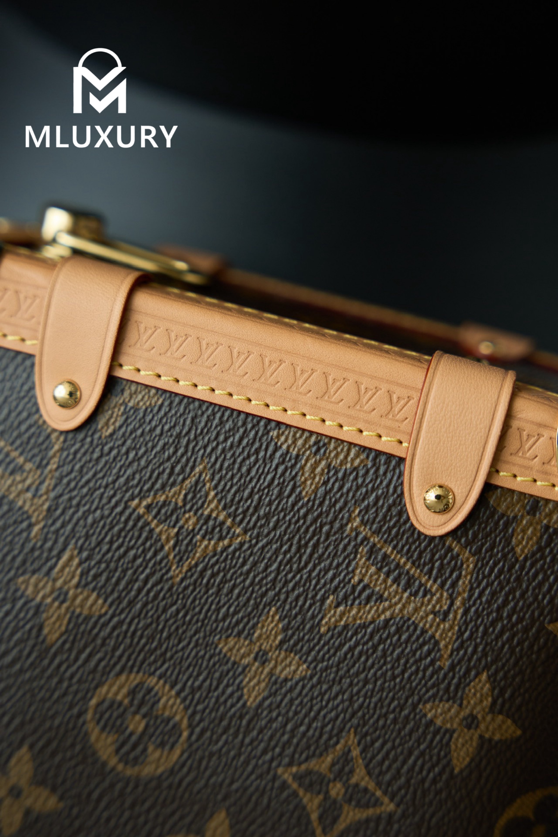 LOUIS VUITTON SIDE TRUNK Handbag