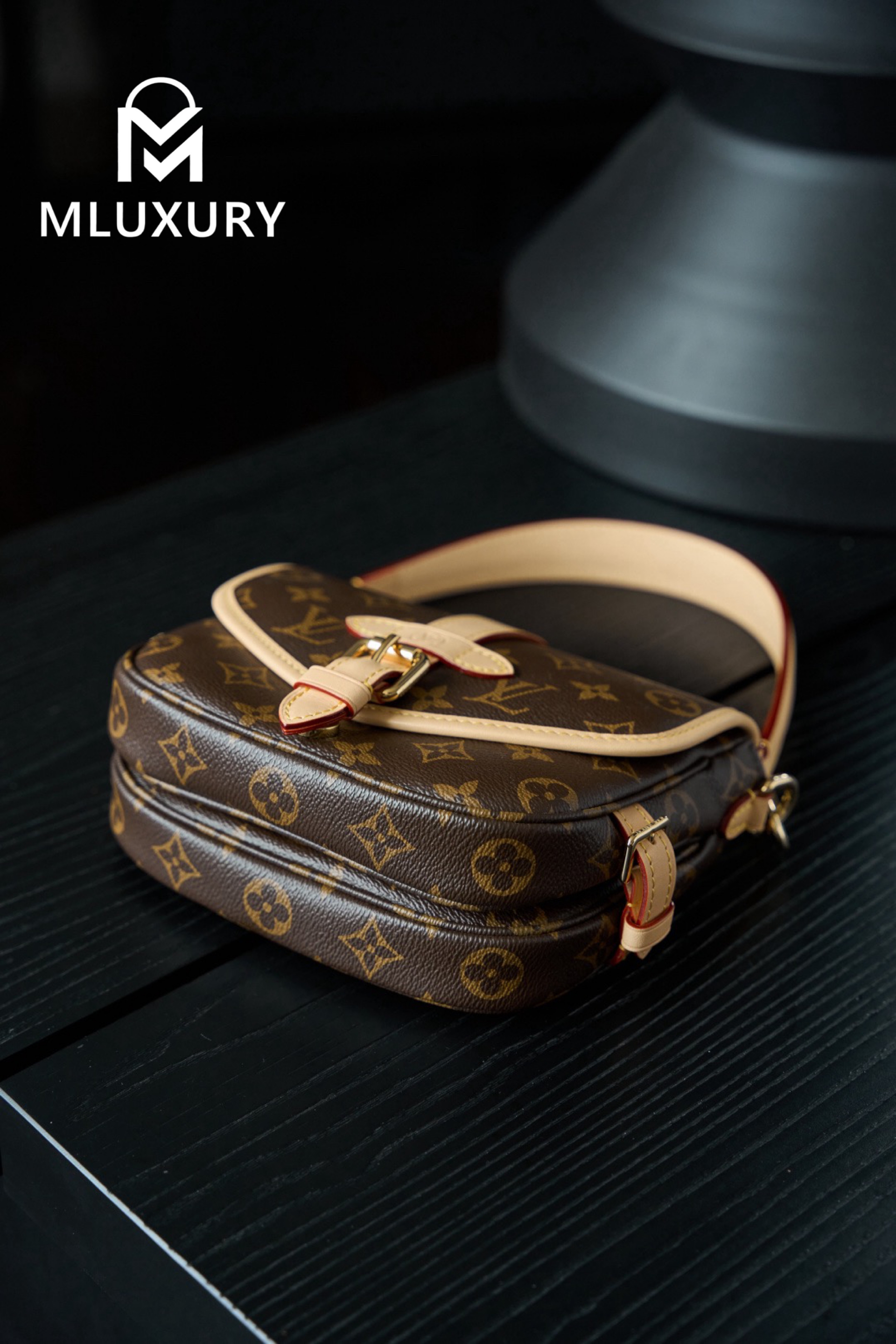 LOUIS VUITTON Saumur BB Handbag