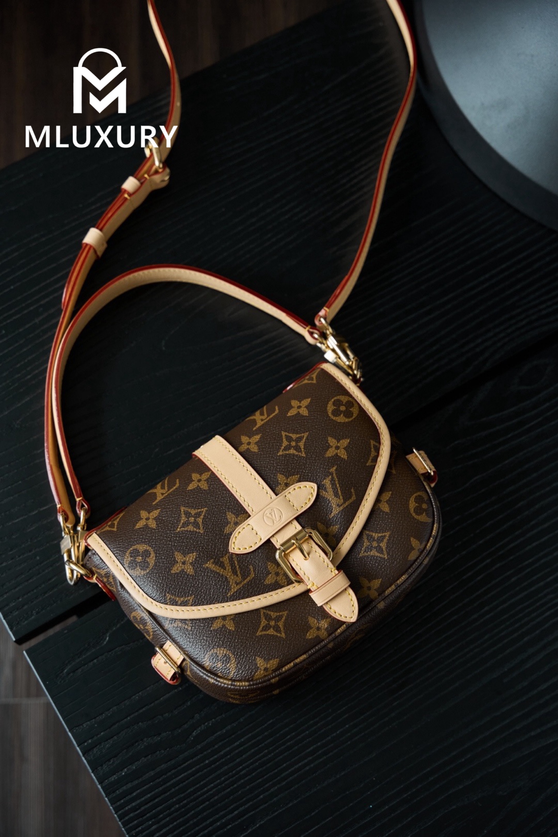 LOUIS VUITTON Saumur BB Handbag