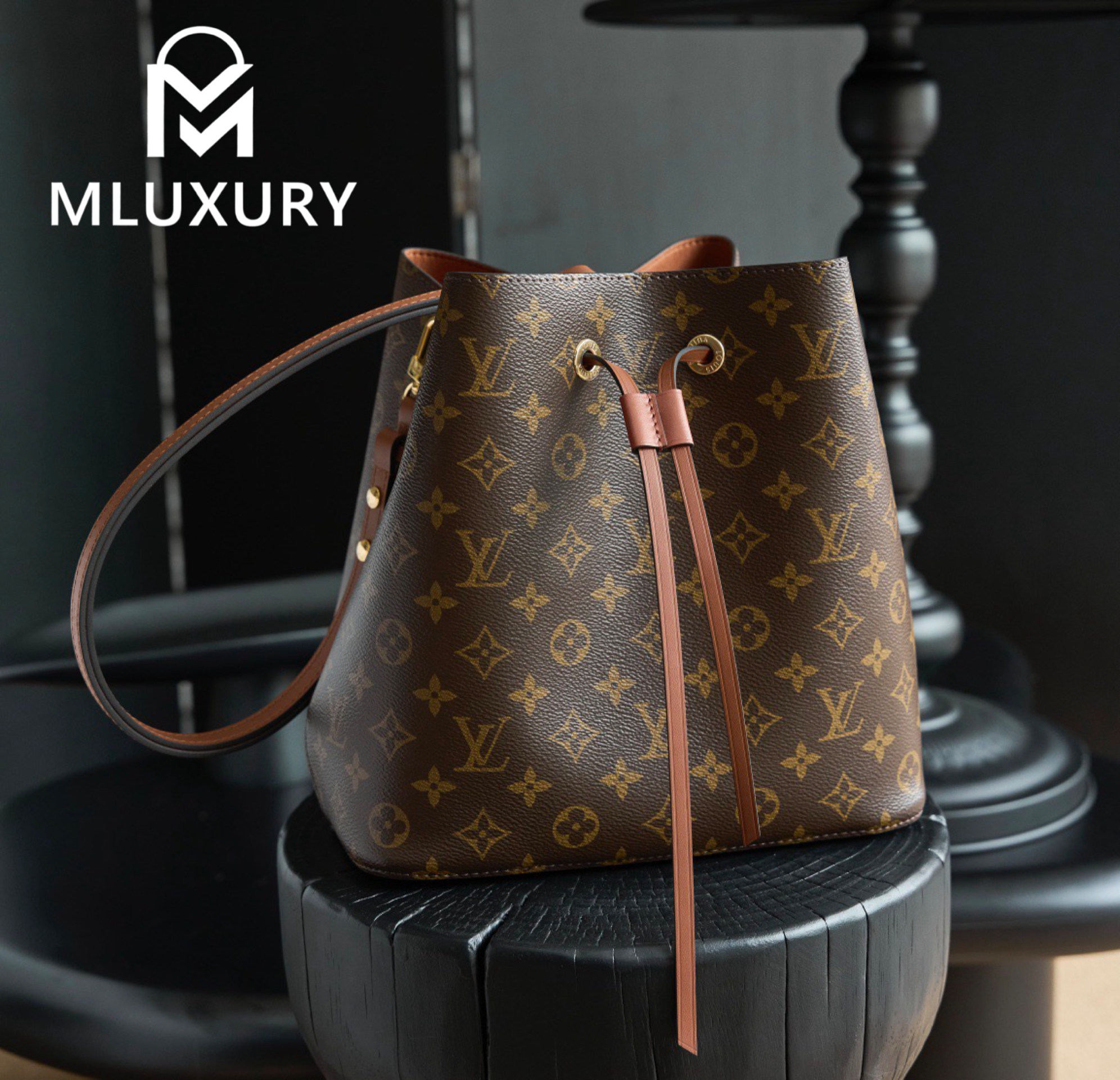 LOUIS VUITTON 𝐍É𝐎𝐍𝐎É Medium Handbag