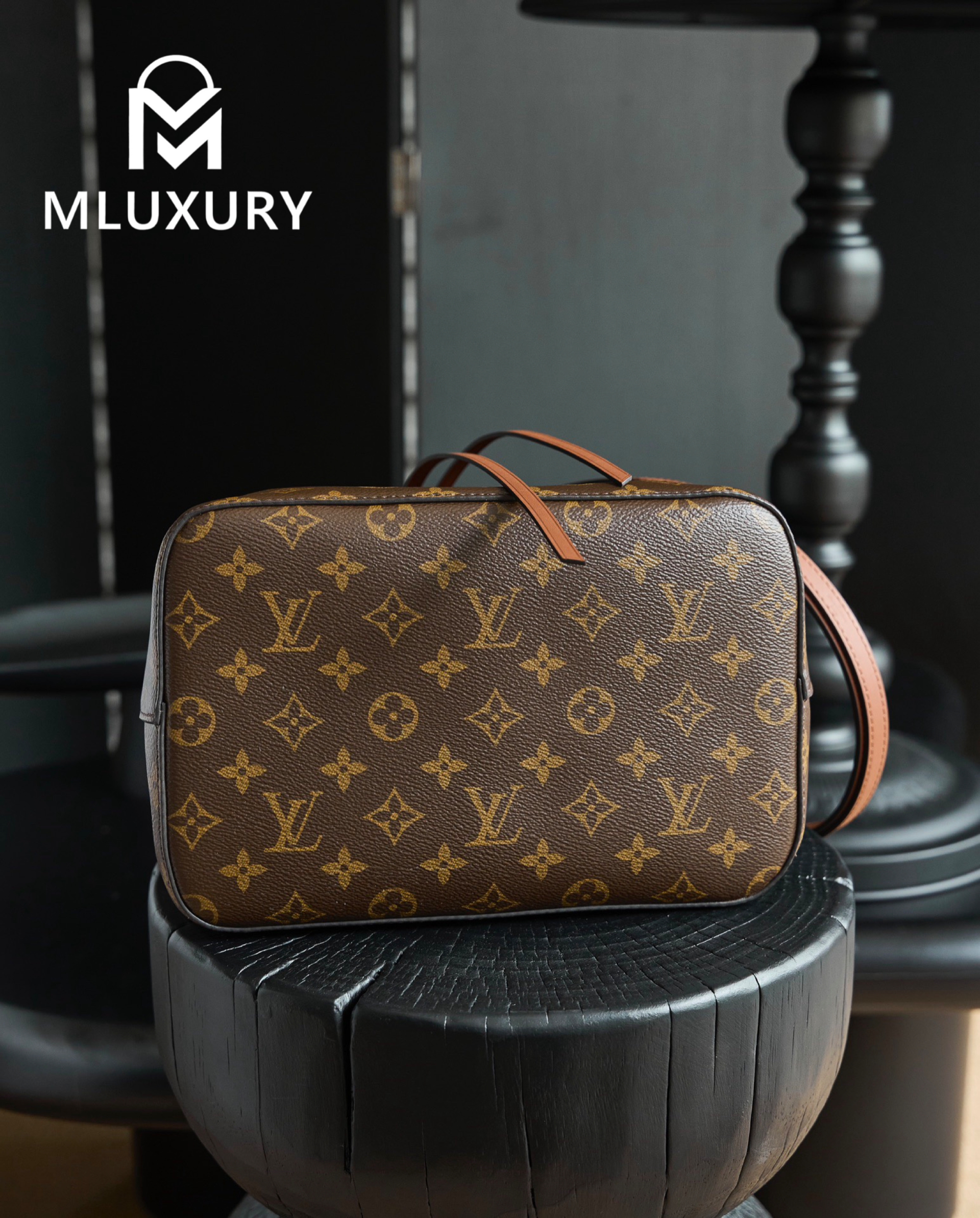 LOUIS VUITTON 𝐍É𝐎𝐍𝐎É Medium Handbag