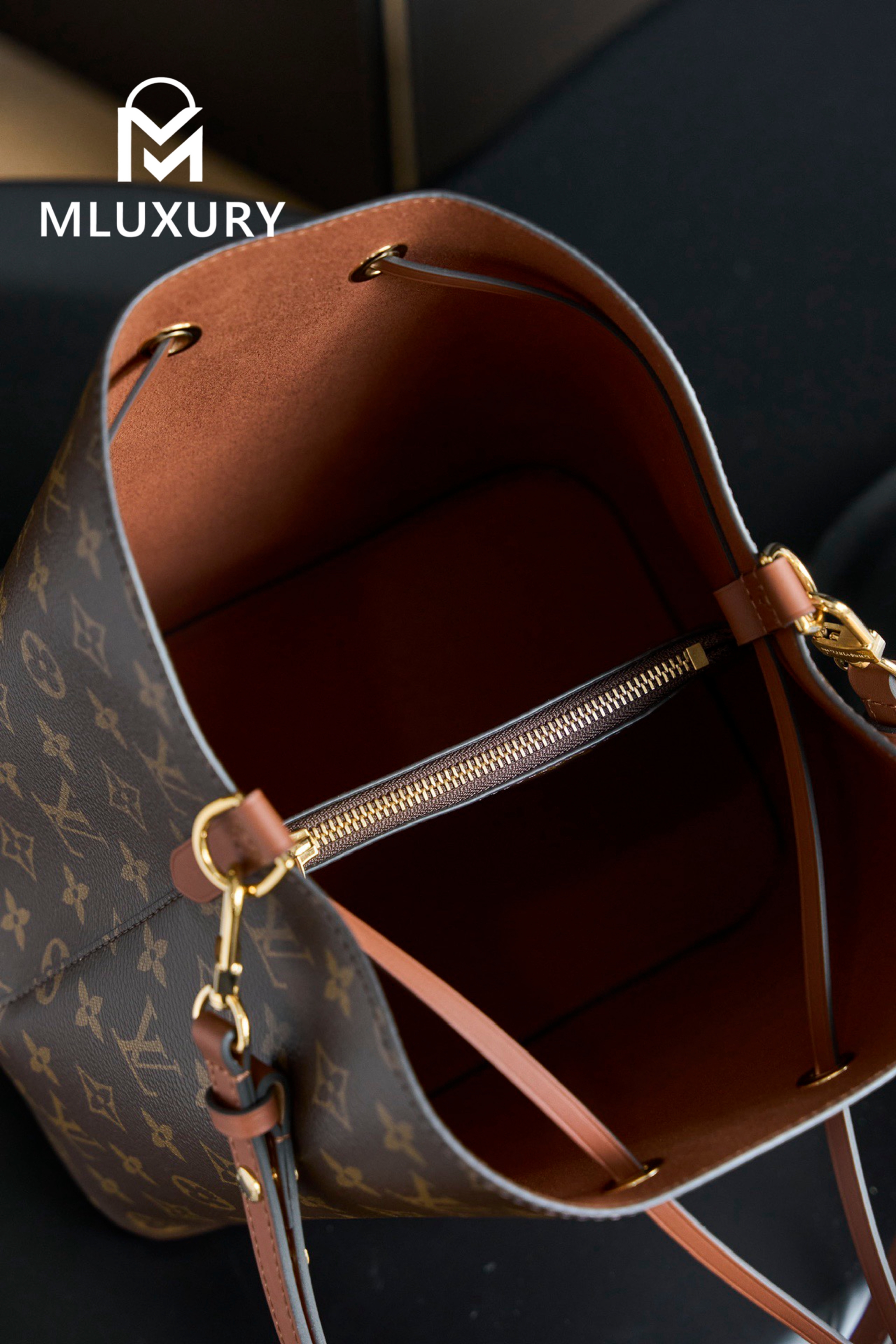 LOUIS VUITTON 𝐍É𝐎𝐍𝐎É Medium Handbag