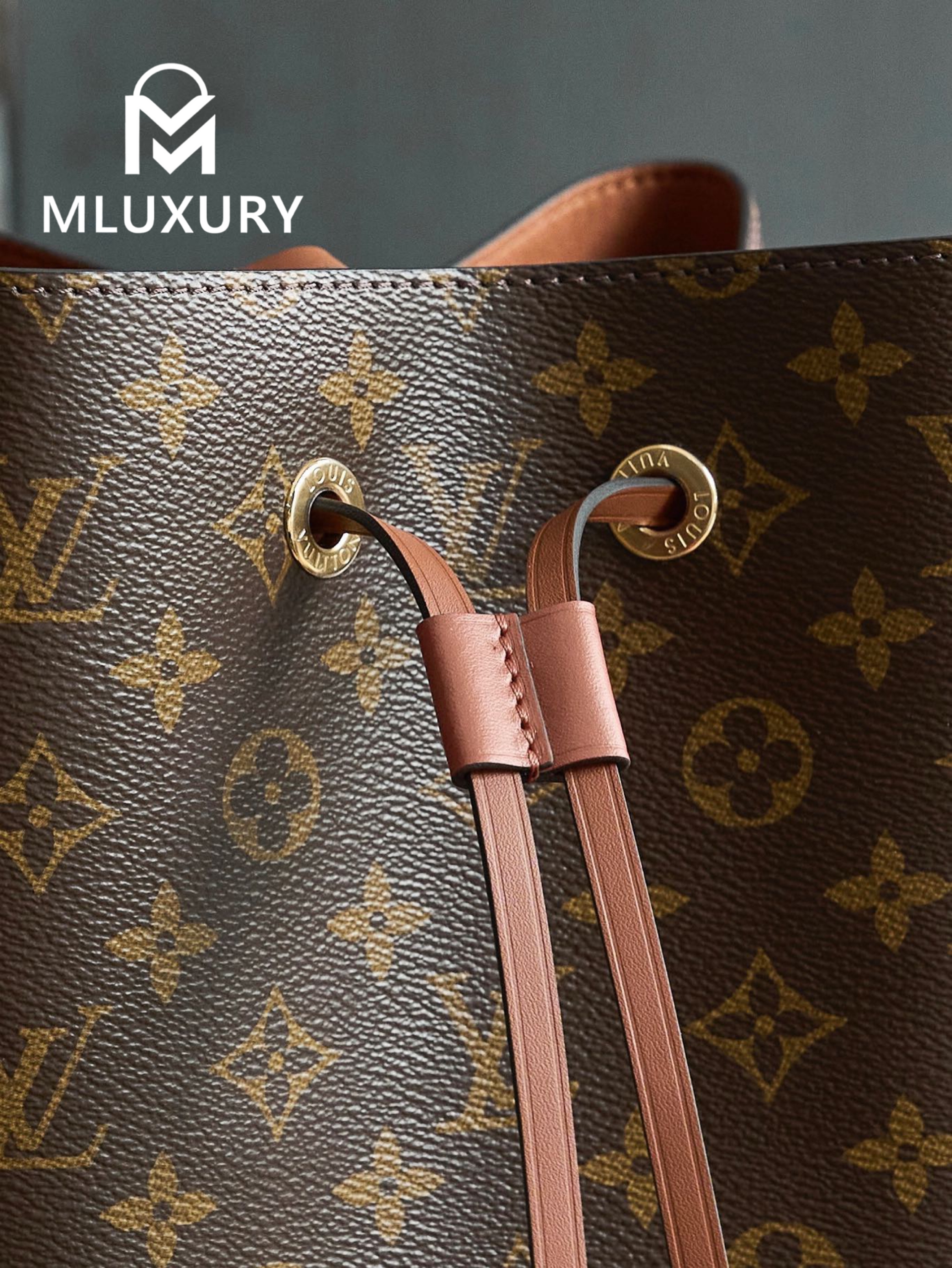 LOUIS VUITTON 𝐍É𝐎𝐍𝐎É Medium Handbag