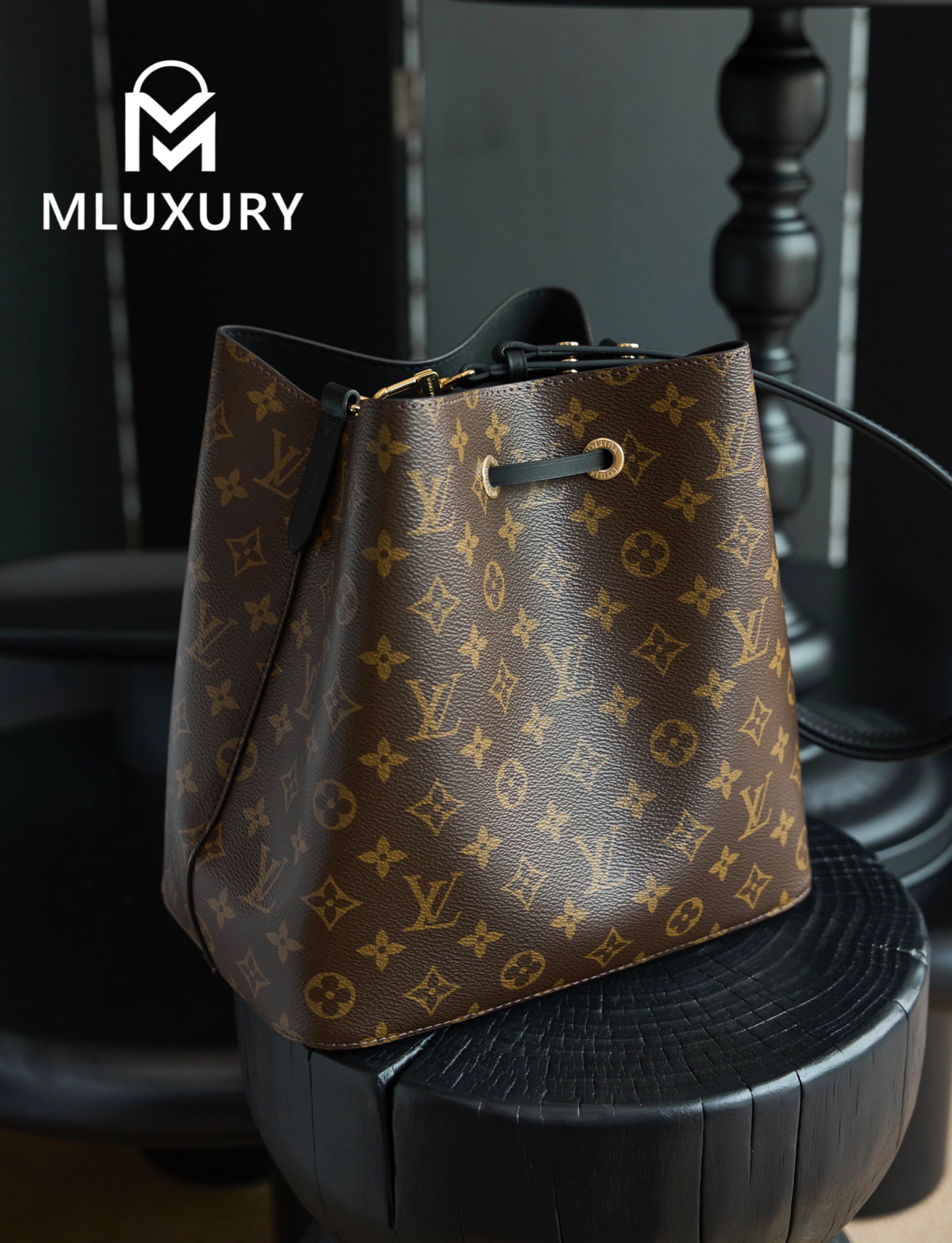 LOUIS VUITTON 𝐍É𝐎𝐍𝐎É Medium Handbag