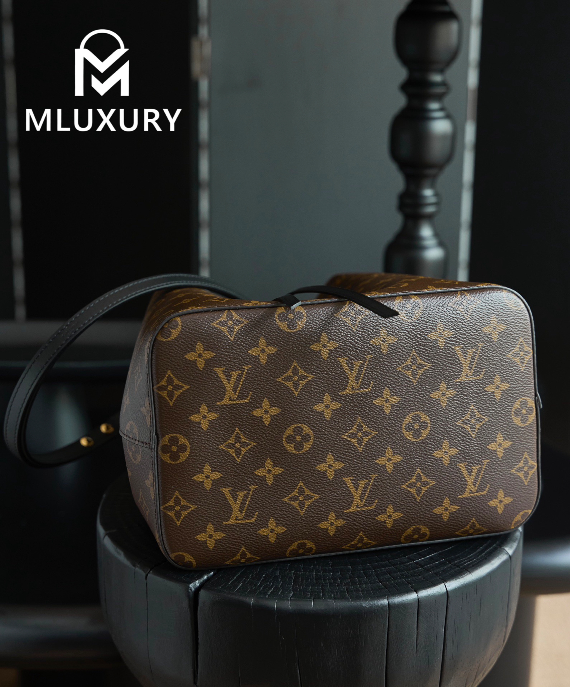 LOUIS VUITTON 𝐍É𝐎𝐍𝐎É Medium Handbag